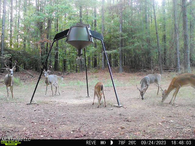 6510 Coxs Ferry Road, Bolton, Mississippi image 46