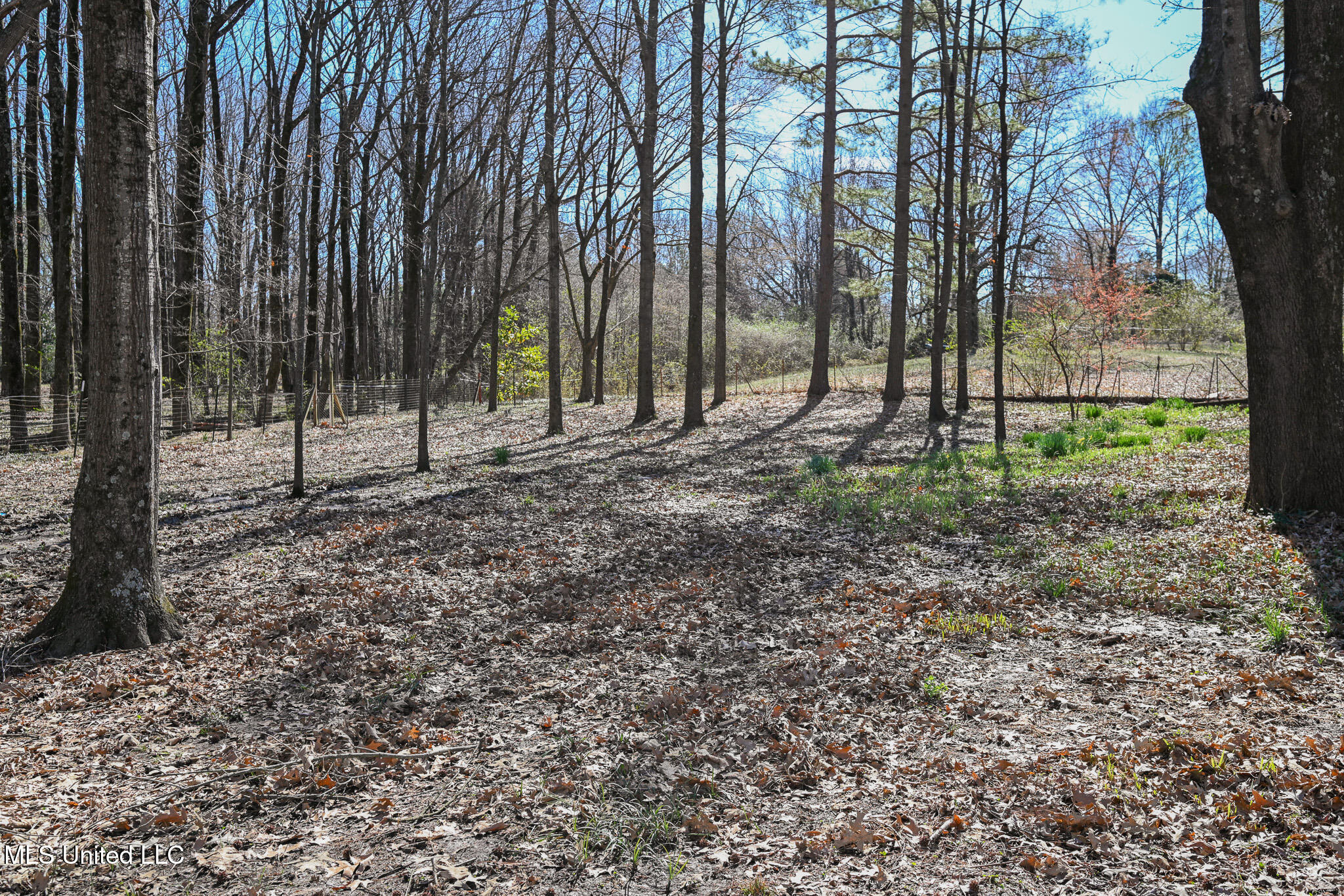 5340 Cohay Drive, Horn Lake, Mississippi image 34