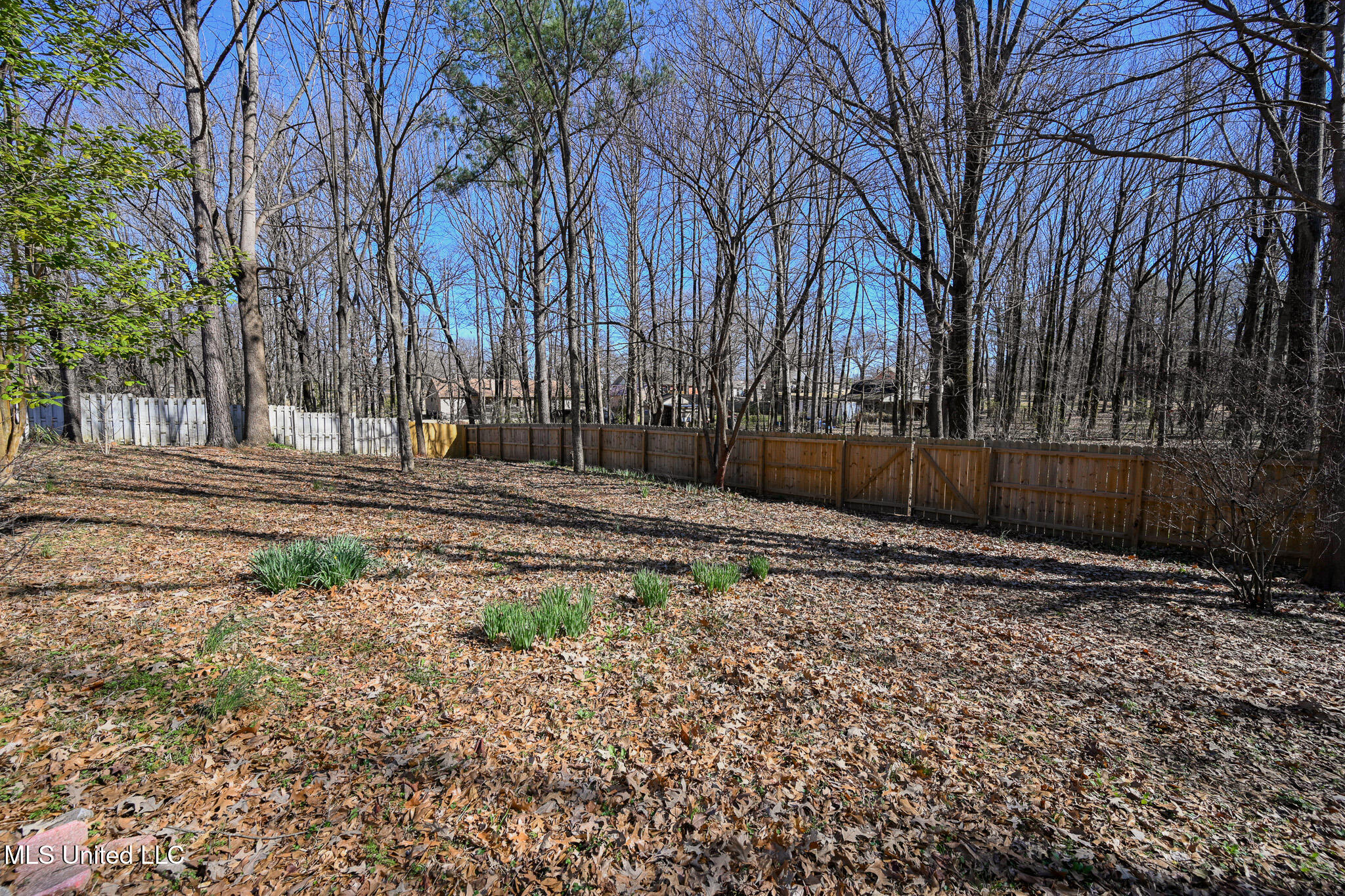 5340 Cohay Drive, Horn Lake, Mississippi image 33
