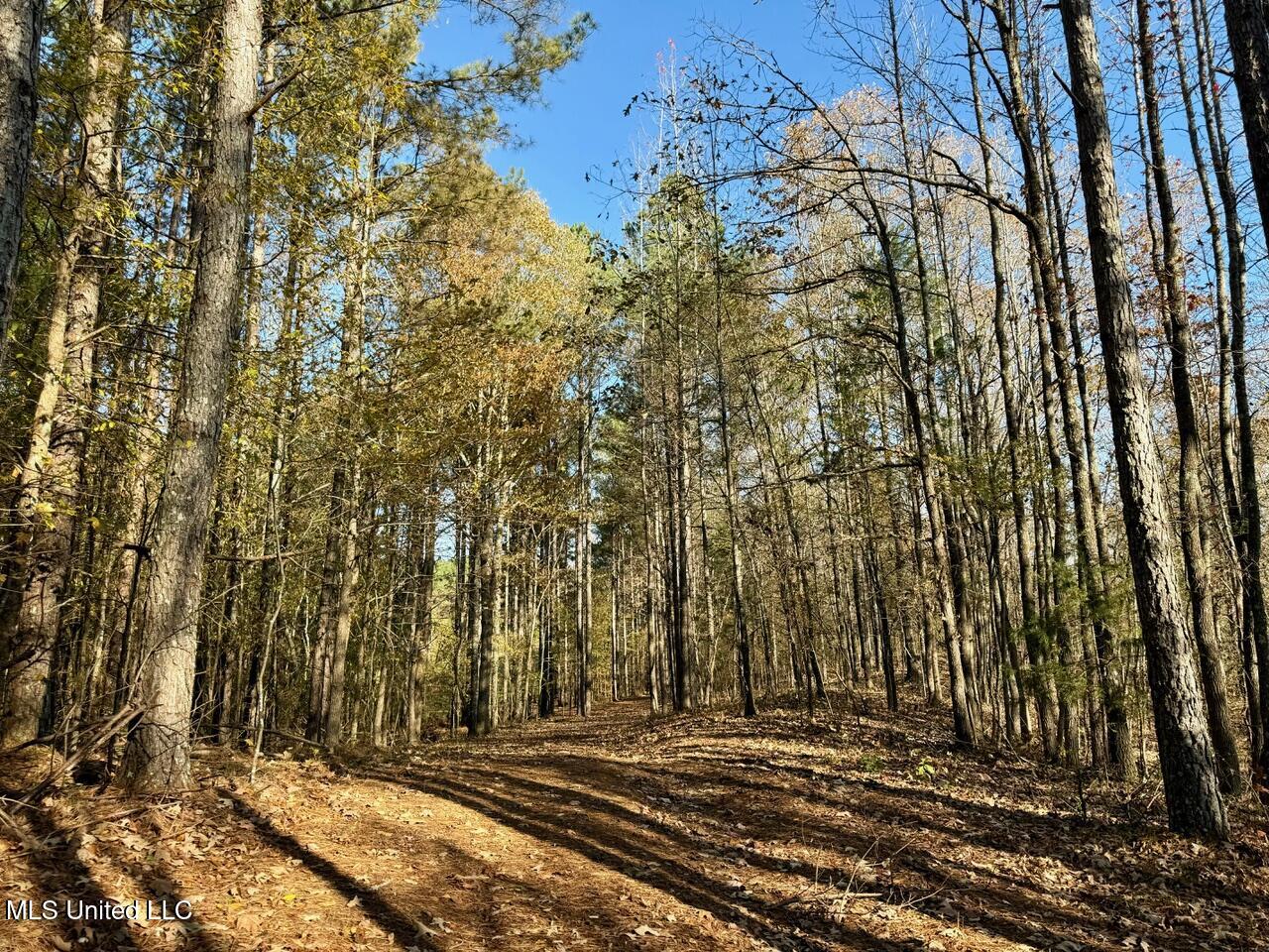 2 Do Road, Lamar, Mississippi image 38