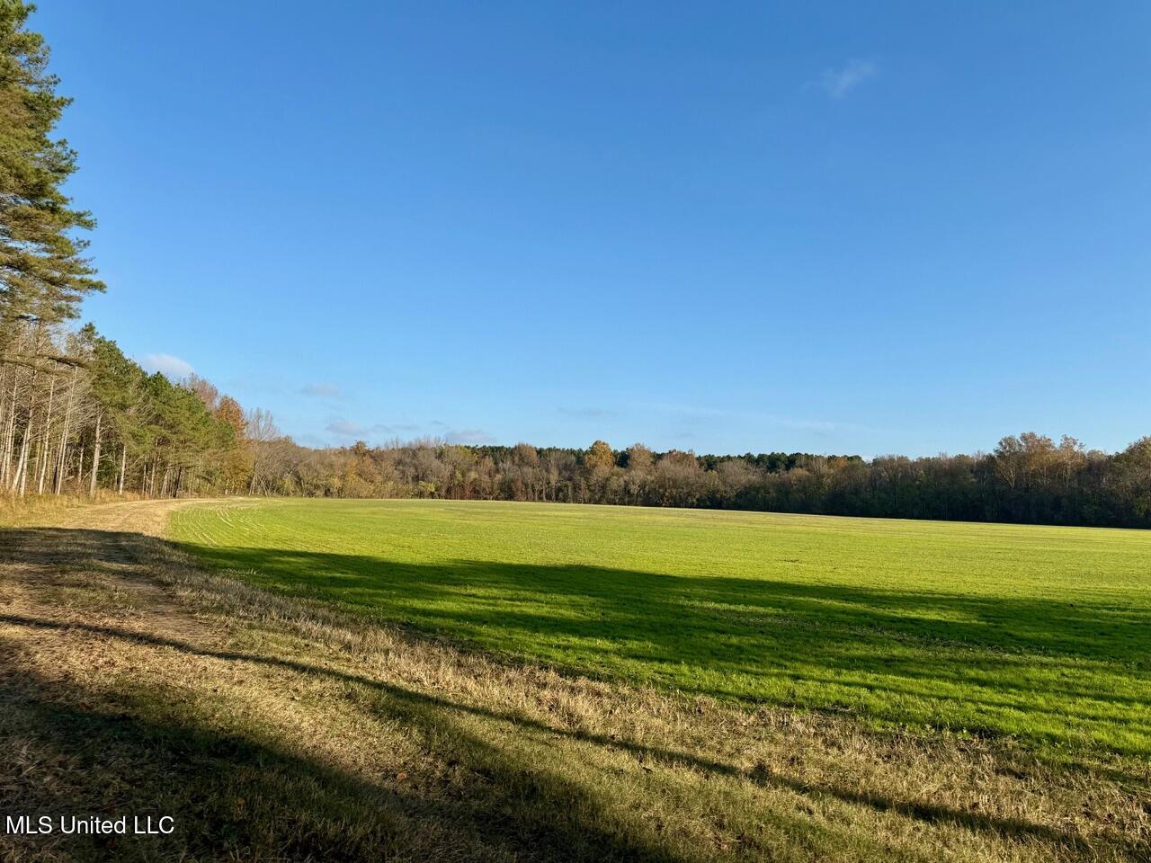 2 Do Road, Lamar, Mississippi image 9