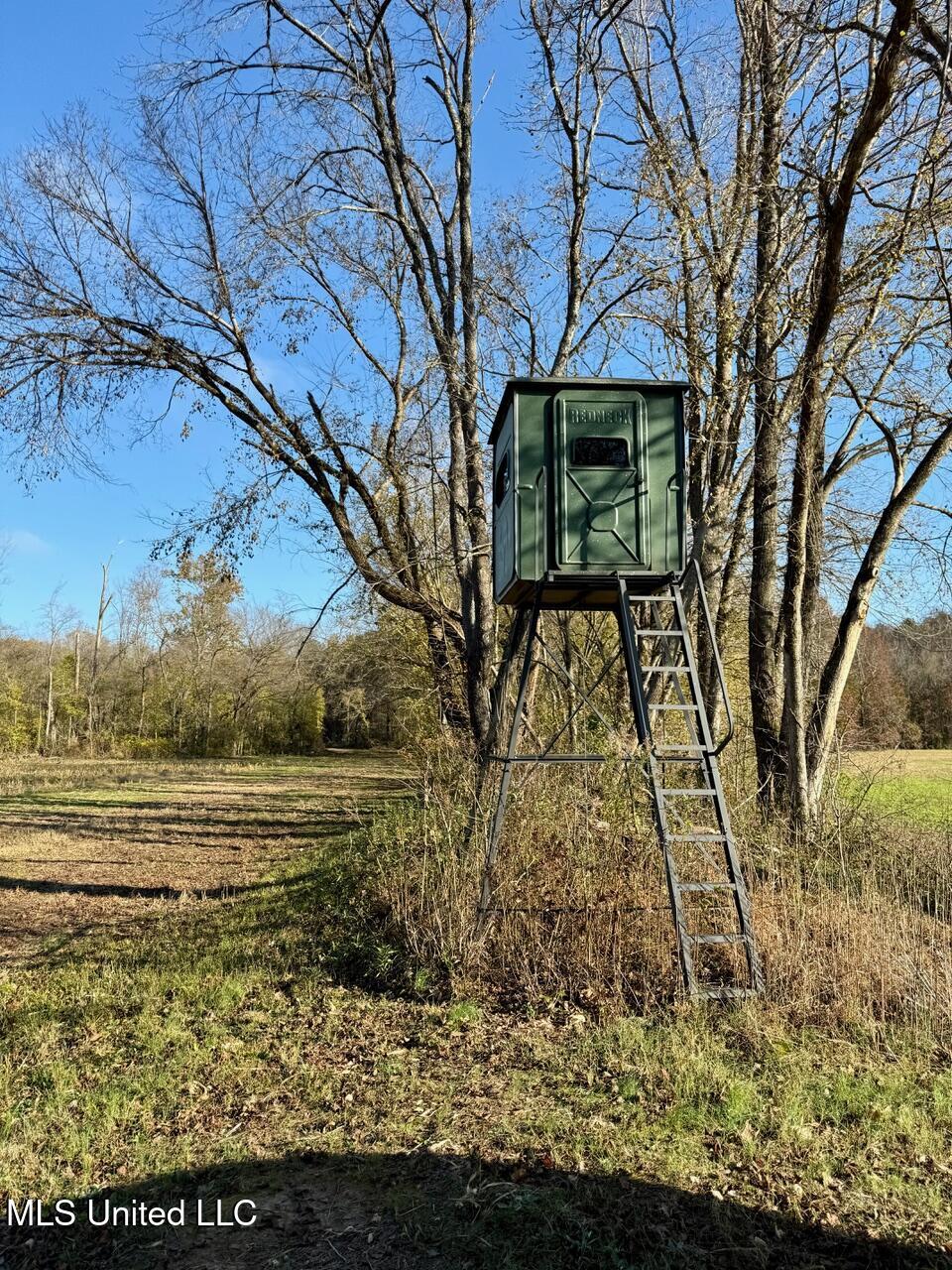 2 Do Road, Lamar, Mississippi image 32