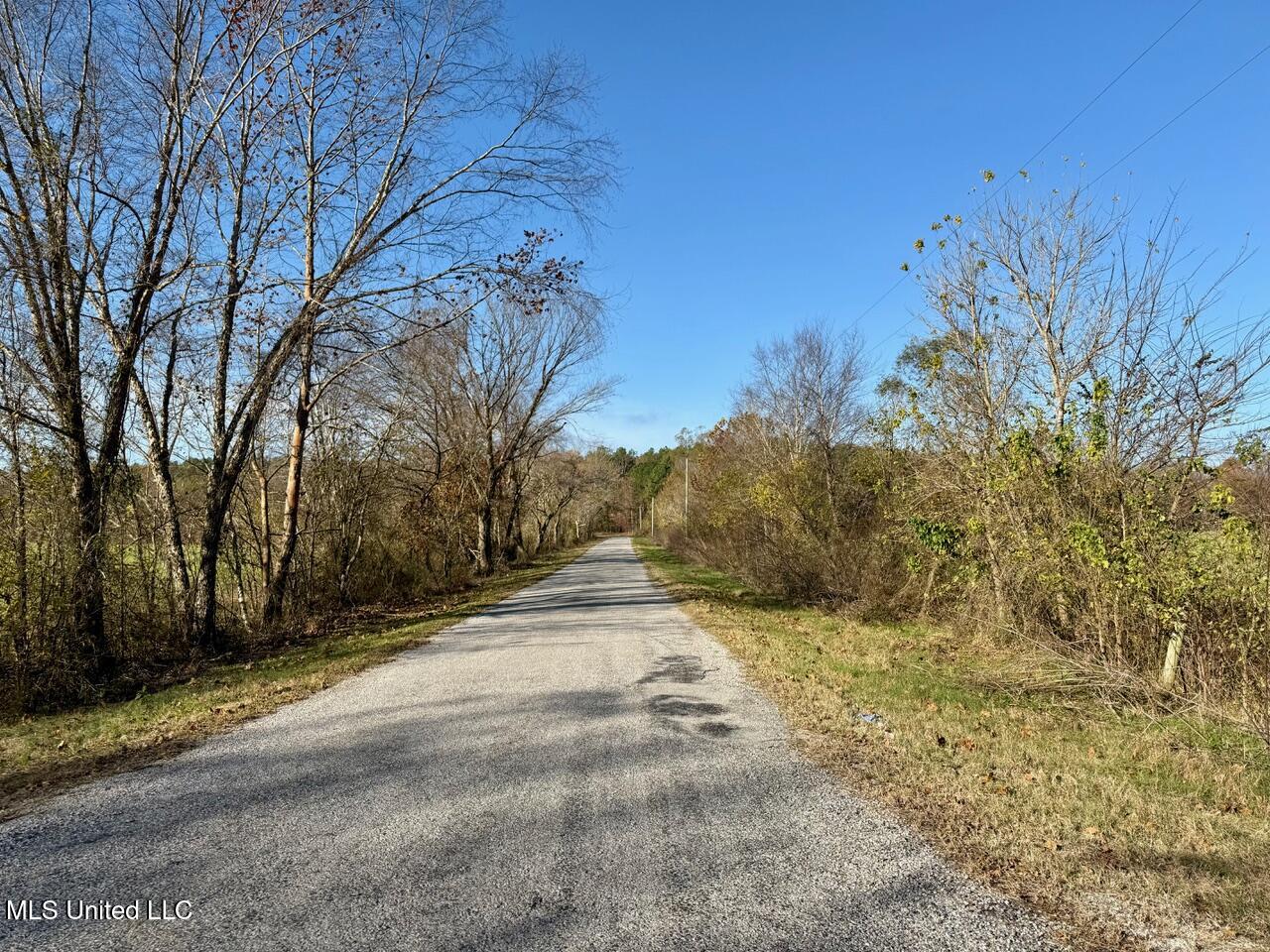 2 Do Road, Lamar, Mississippi image 46