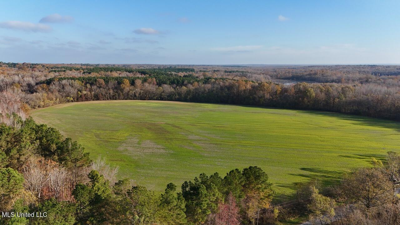 2 Do Road, Lamar, Mississippi image 3