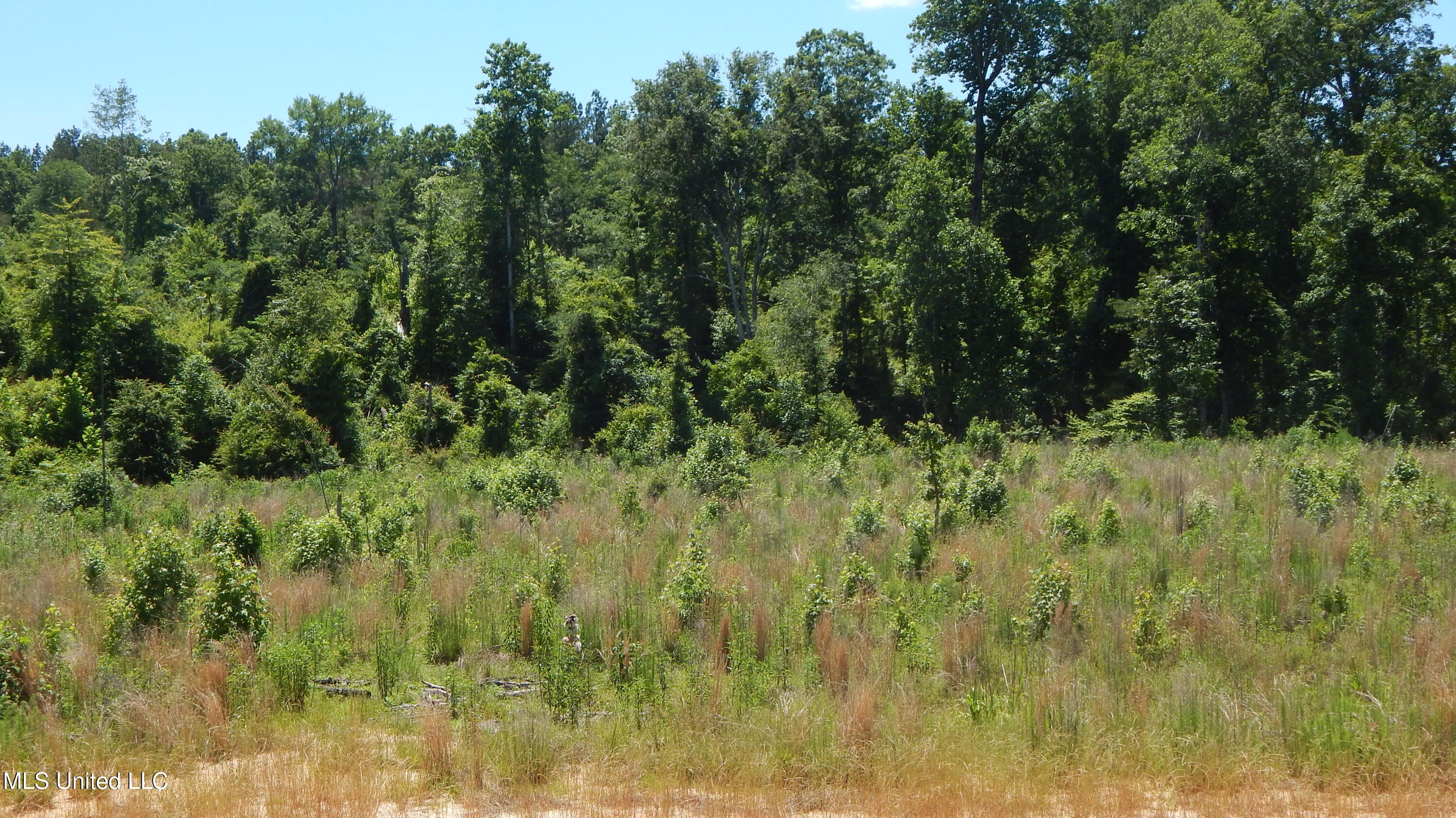 207 Hugh White State Park Road, Grenada, Mississippi image 10