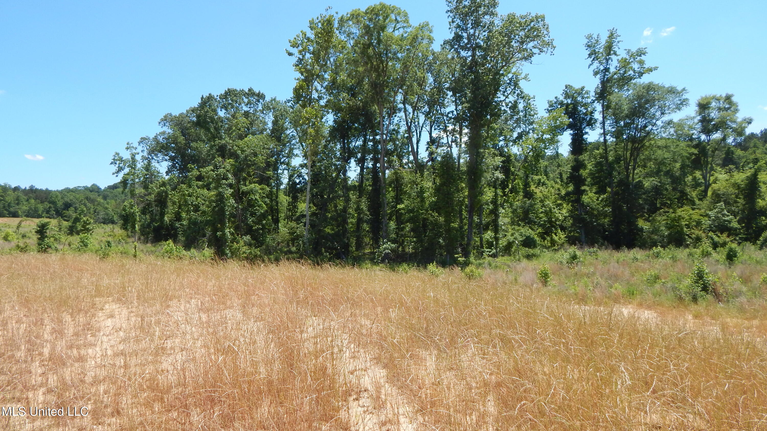 207 Hugh White State Park Road, Grenada, Mississippi image 5