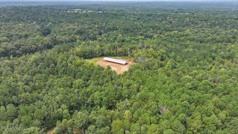 Vacant Land For Sale - 255 Everett Church Road<br/> Simpson County, Mendenhall, MS 39114