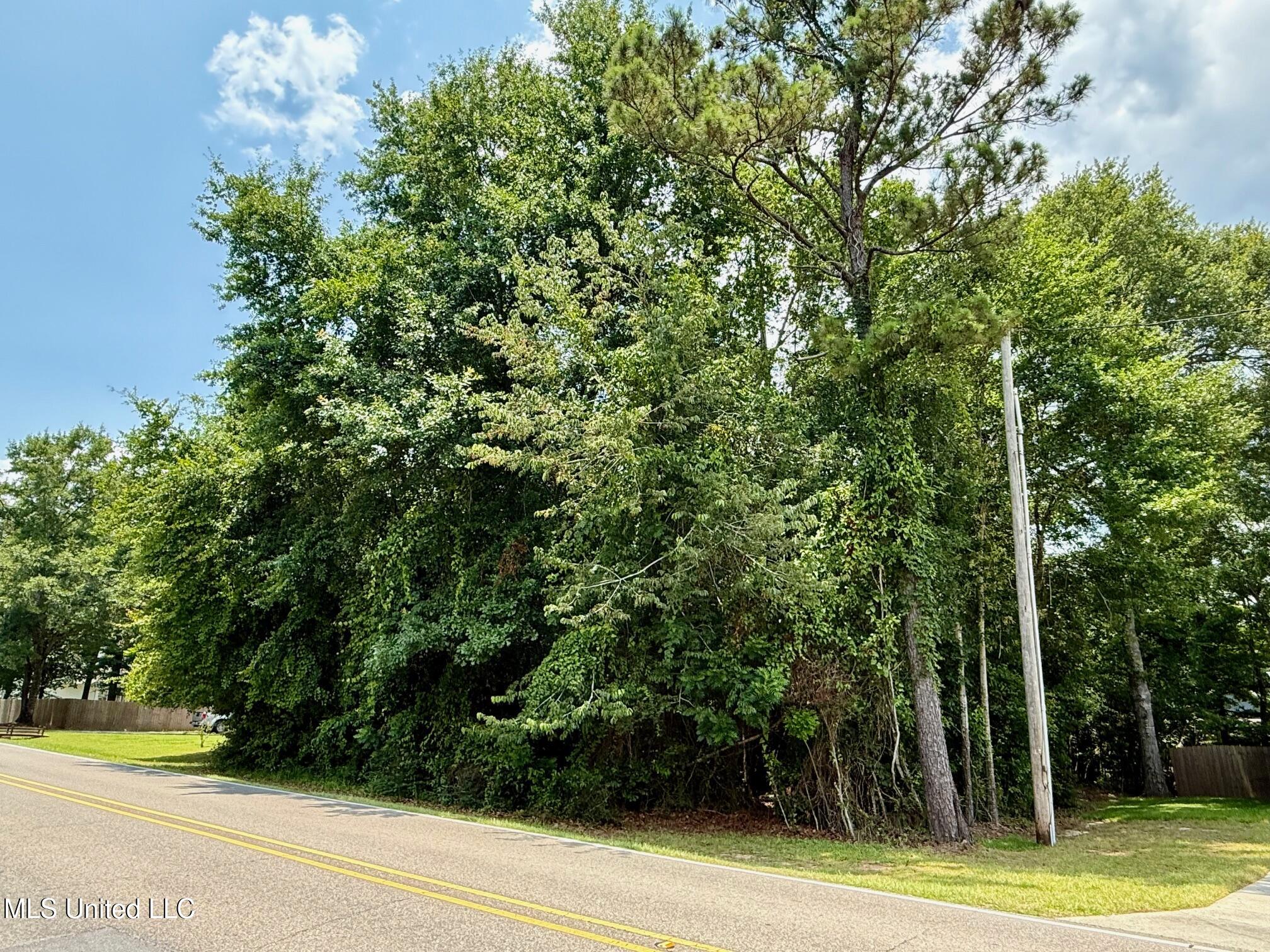 88153 Golf Club Dr. Drive, Diamondhead, Mississippi image 1