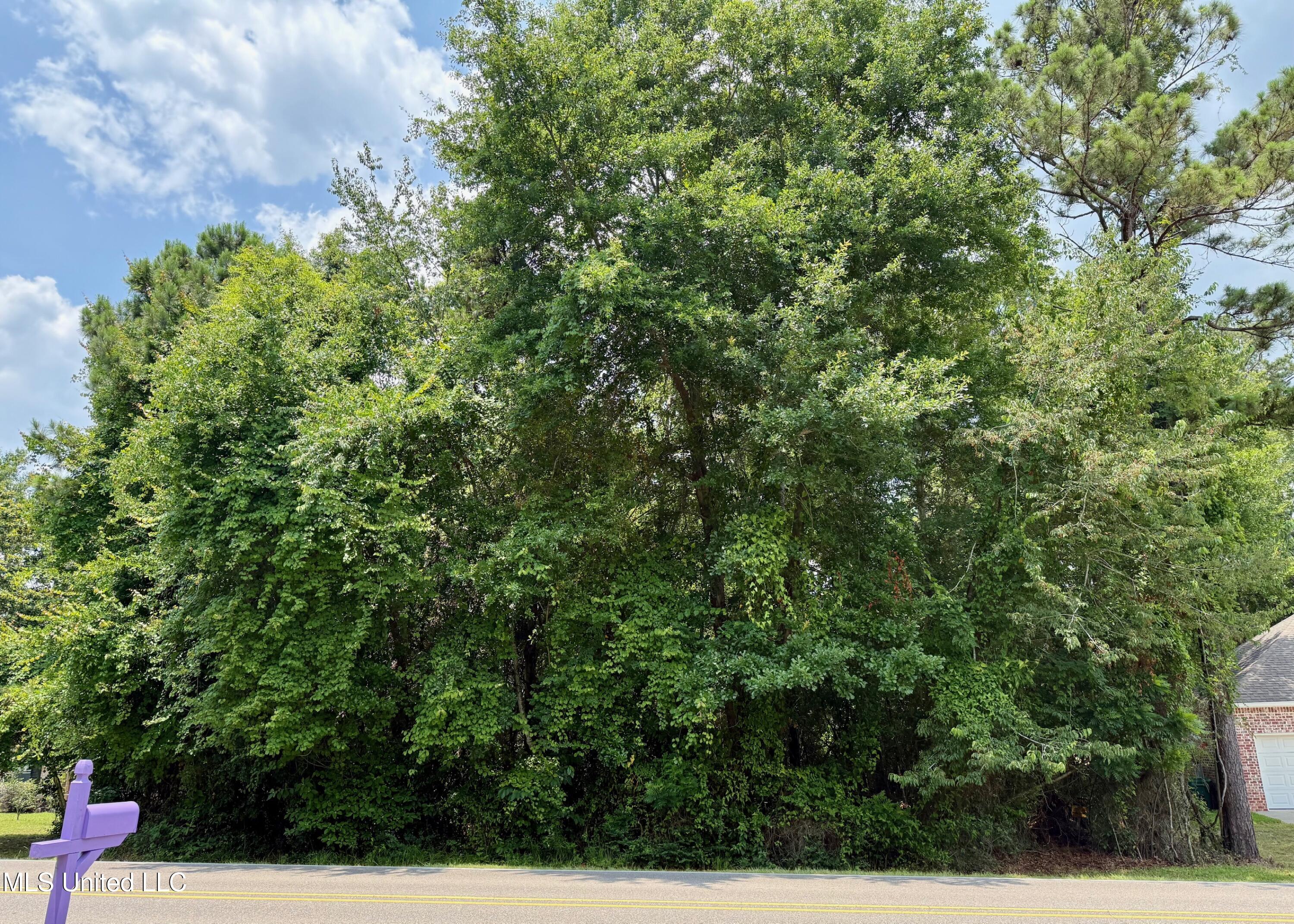 88153 Golf Club Dr. Drive, Diamondhead, Mississippi image 2