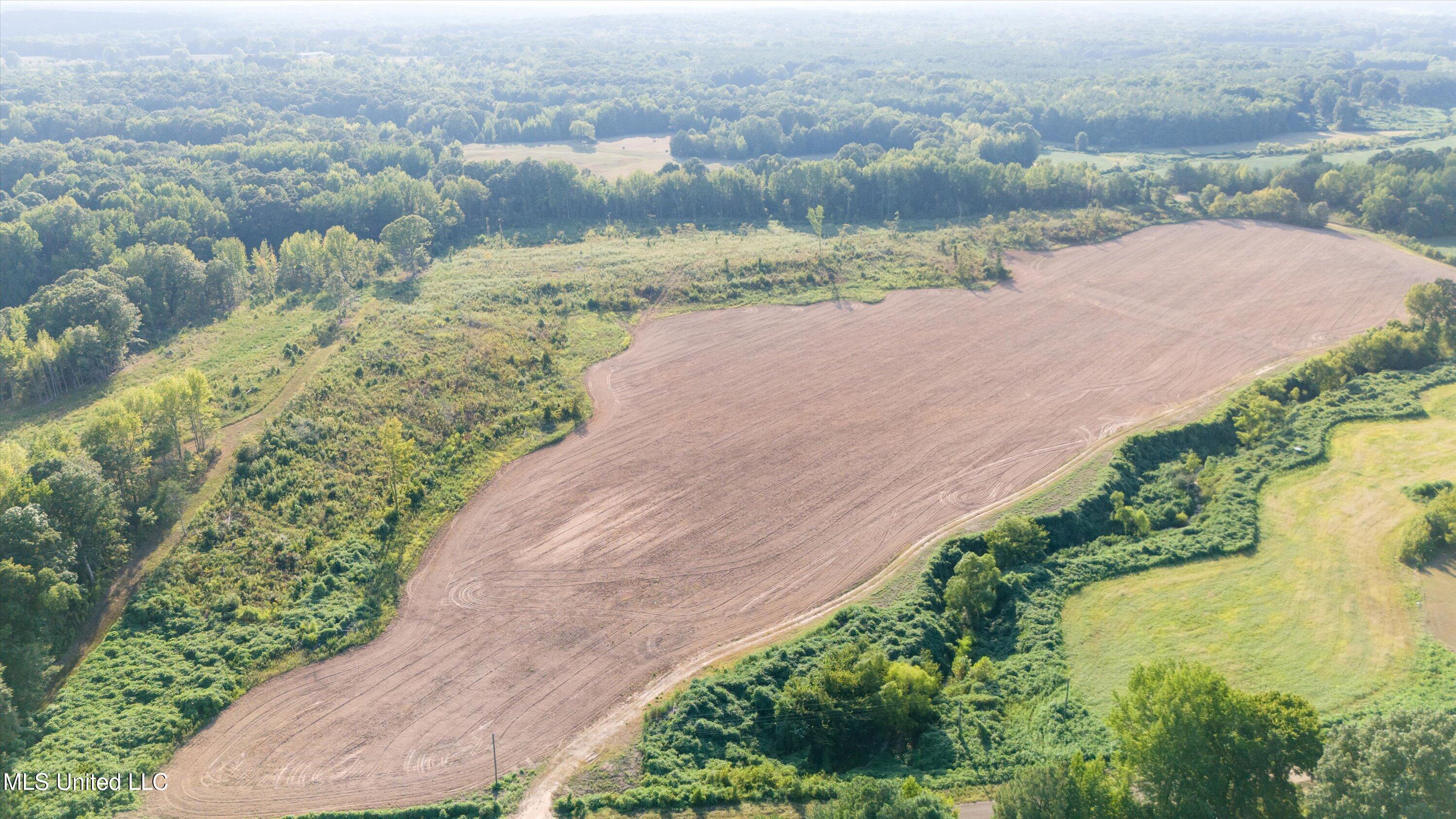 13.73 Ac Pearl Smith Road, Senatobia, Mississippi image 4