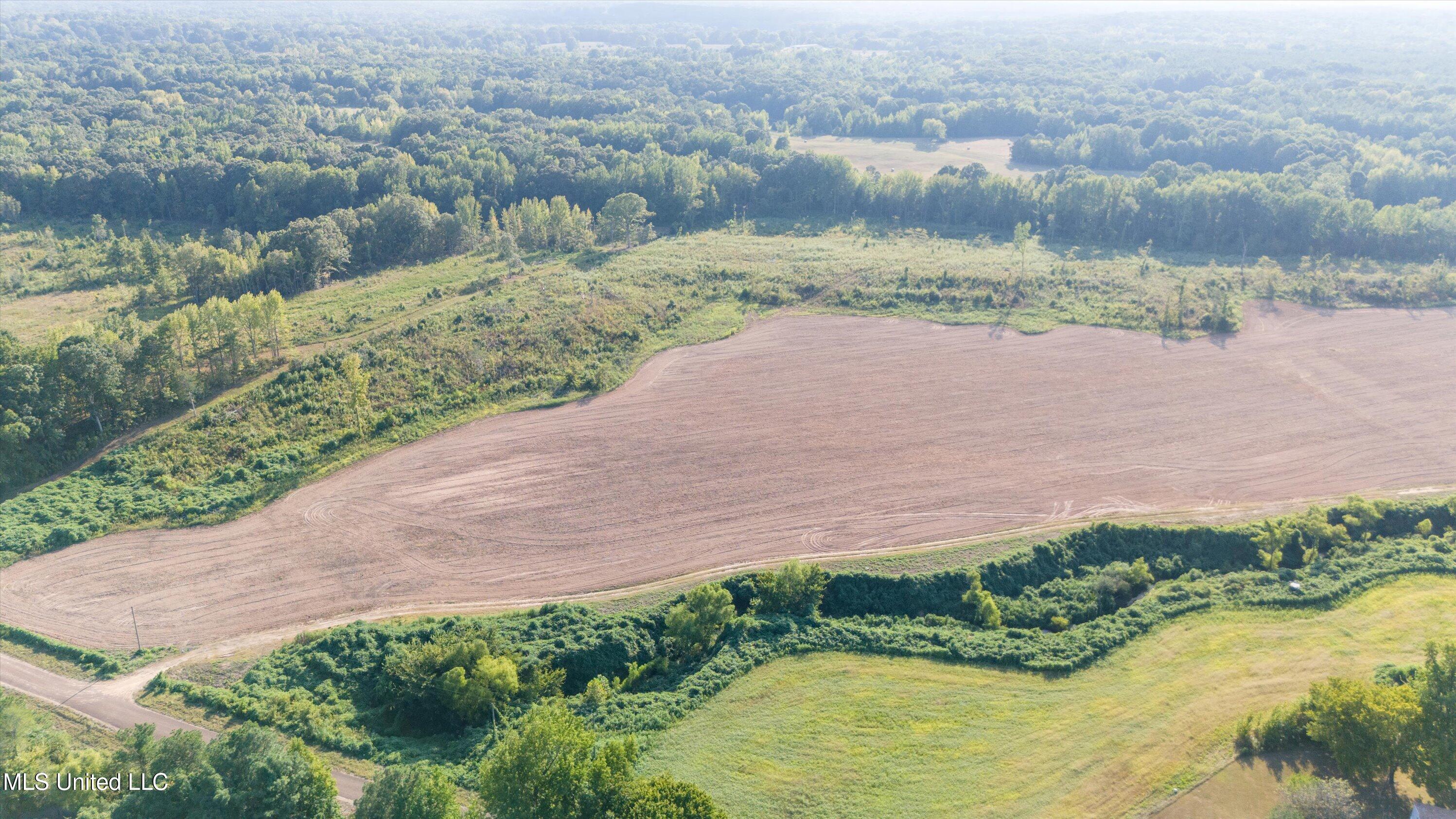 13.73 Ac Pearl Smith Road, Senatobia, Mississippi image 5
