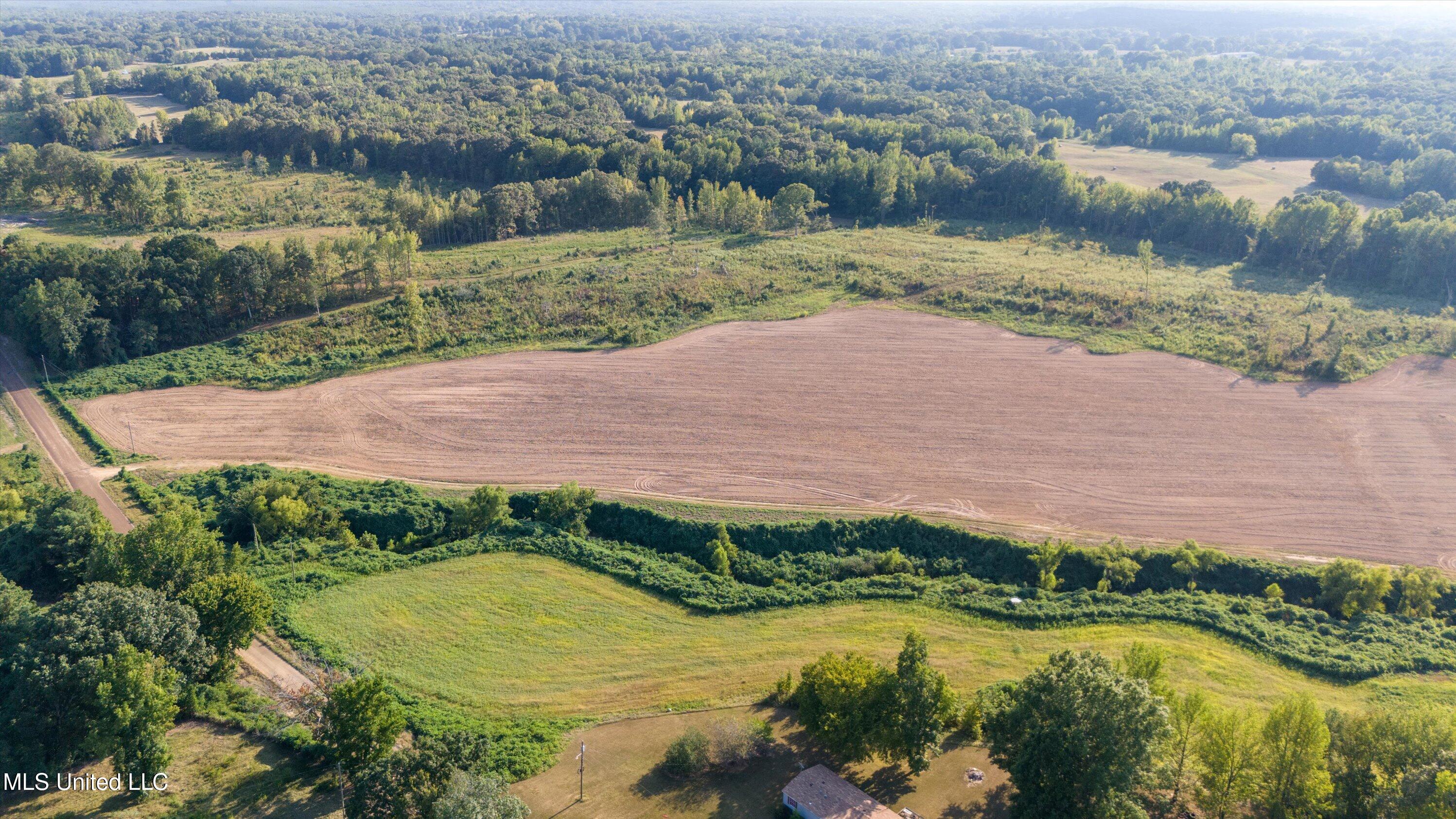 13.73 Ac Pearl Smith Road, Senatobia, Mississippi image 6