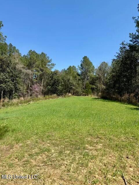 Lower Woodville Road, Woodville, Mississippi image 18