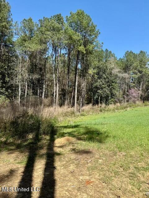 Lower Woodville Road, Woodville, Mississippi image 19