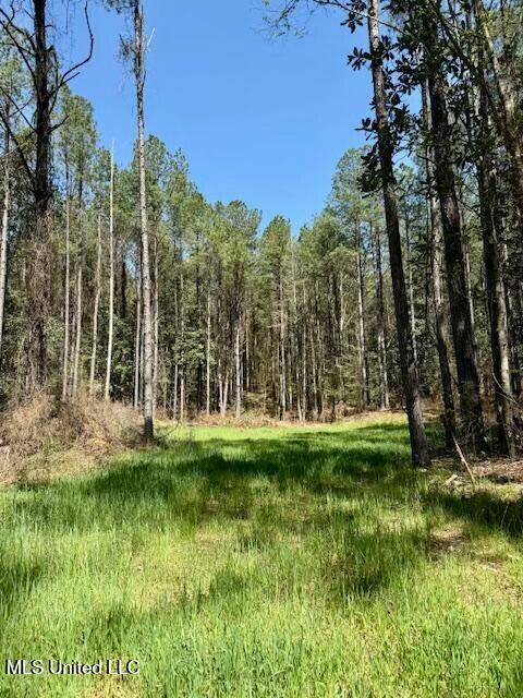 Lower Woodville Road, Woodville, Mississippi image 12