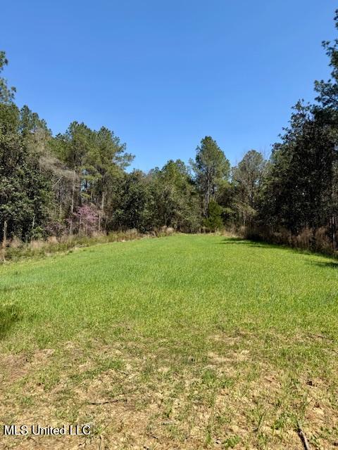 Lower Woodville Road, Woodville, Mississippi image 1