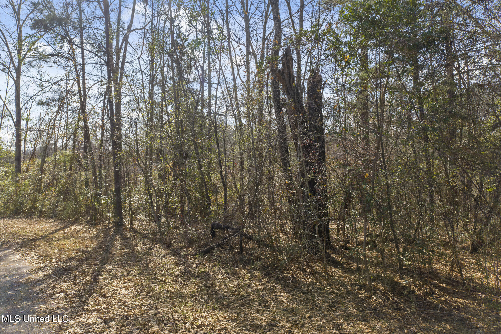 Lot 4 Maplewood Drive, Petal, Mississippi image 17