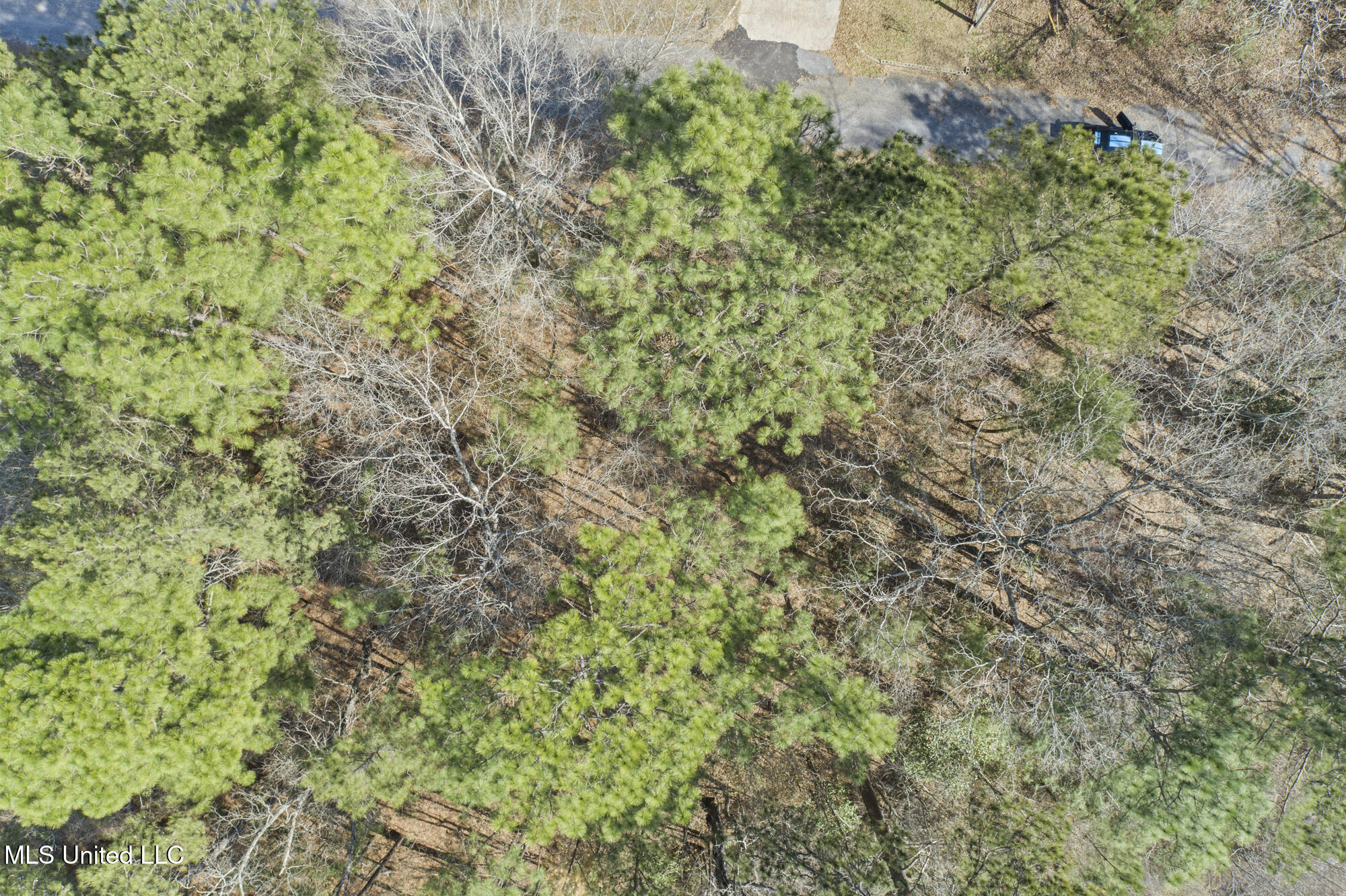 Lot 4 Maplewood Drive, Petal, Mississippi image 16