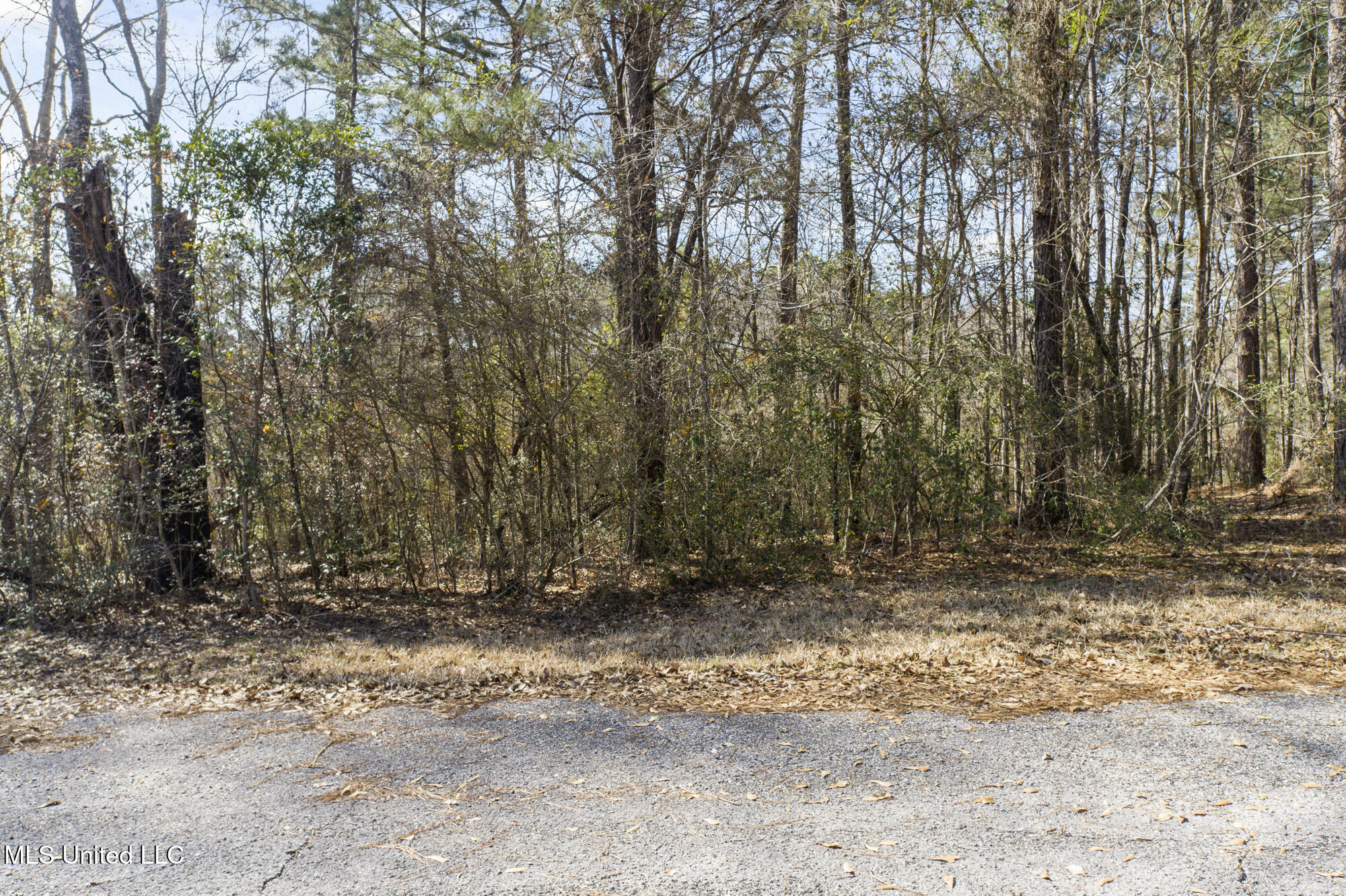 Lot 4 Maplewood Drive, Petal, Mississippi image 18