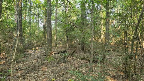Vacant Land For Sale - 000 Alabama Street<br/> Roxie, MS 39661