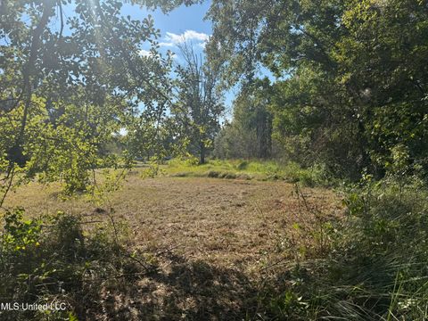 Vacant Land For Sale - 1233 Tannertown Road<br/> Lucedale, MS 39452