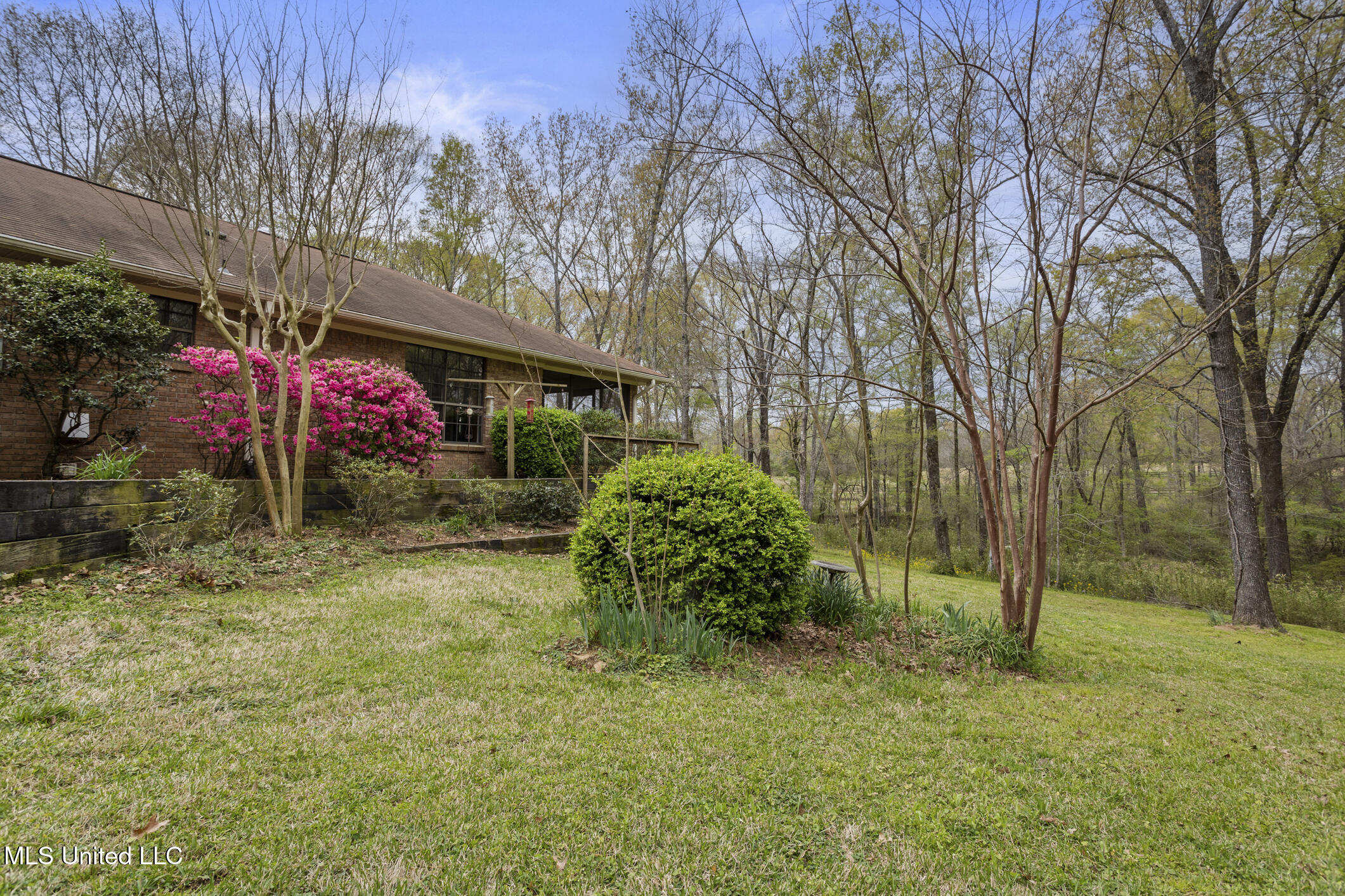 107 Hickory Hills Drive, Clinton, Mississippi image 4