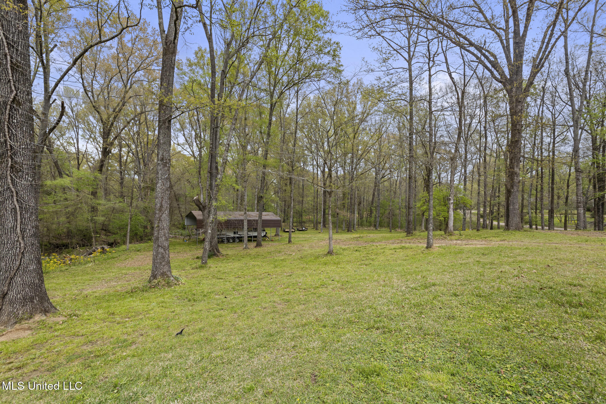 107 Hickory Hills Drive, Clinton, Mississippi image 5