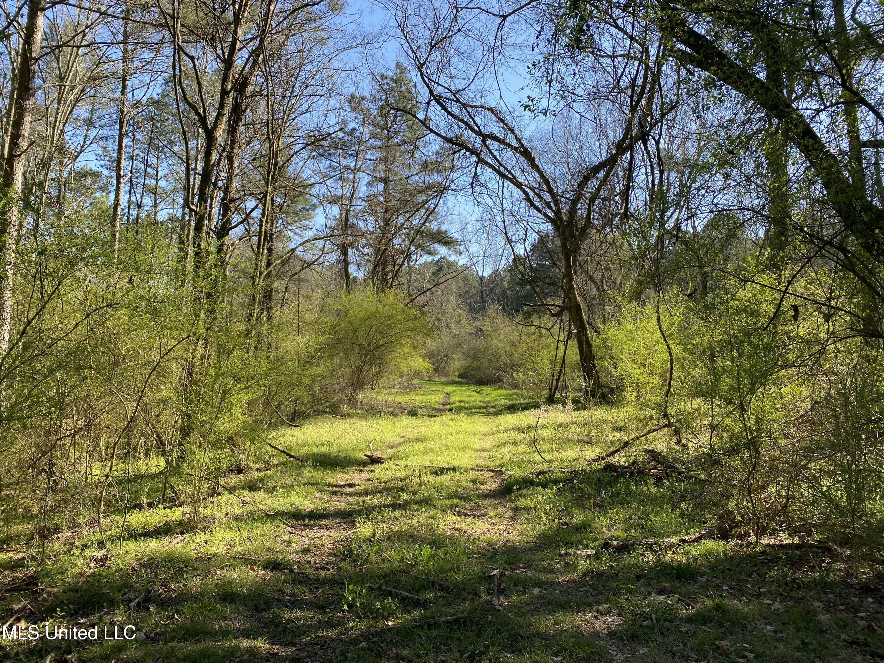 492 Highway, Conehatta, Mississippi image 8