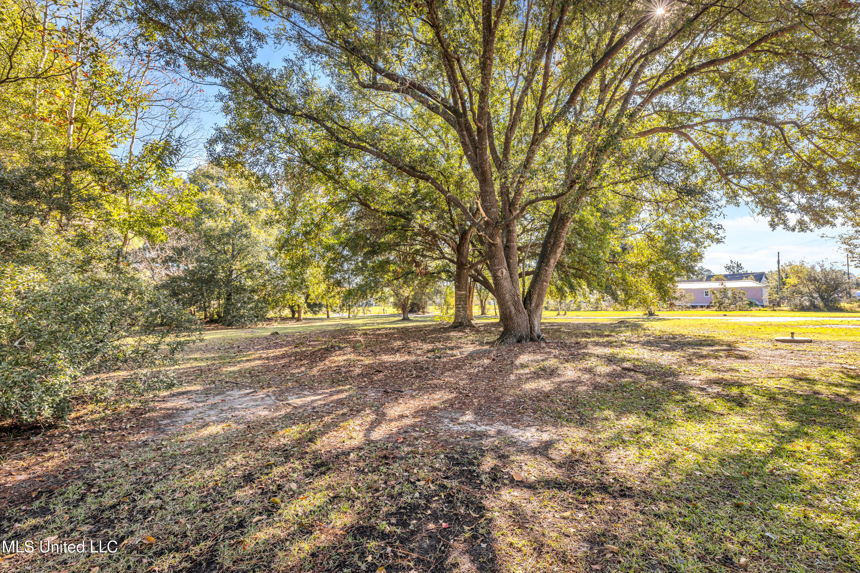 10113 Jordan Road, Vancleave, Mississippi image 5