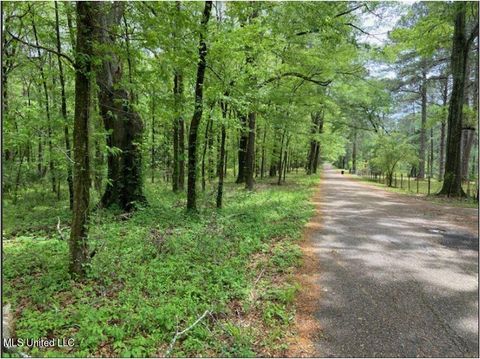 Vacant Land For Sale - N Lake Catherin / Lakeshore Rd. Drive<br/> Hinds County, Jackson, MS 39212