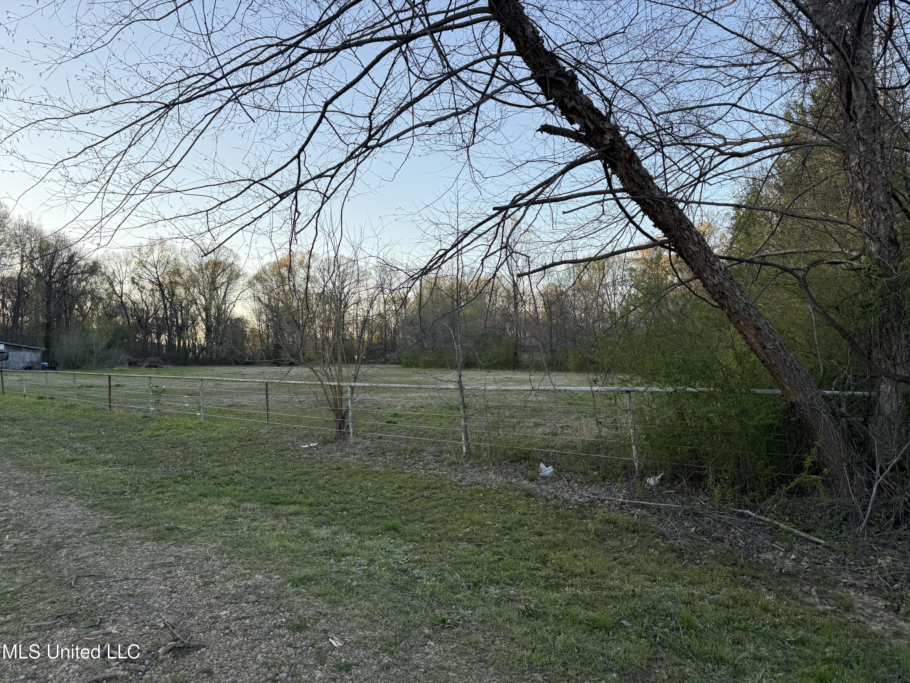 7191 Whitten Point Cove, Olive Branch, Mississippi image 1