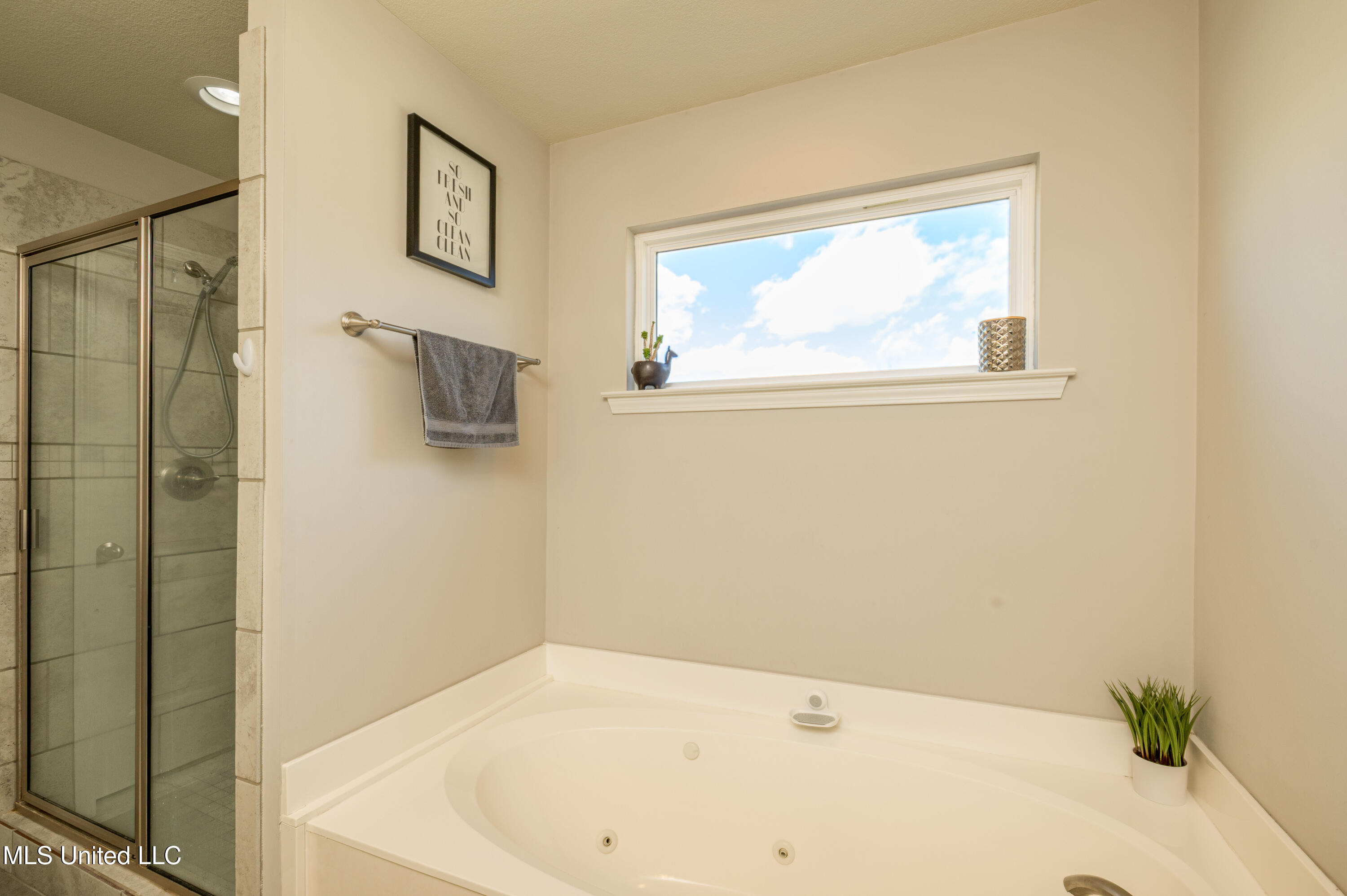 2385 Christian Cove, Southaven, Mississippi image 18