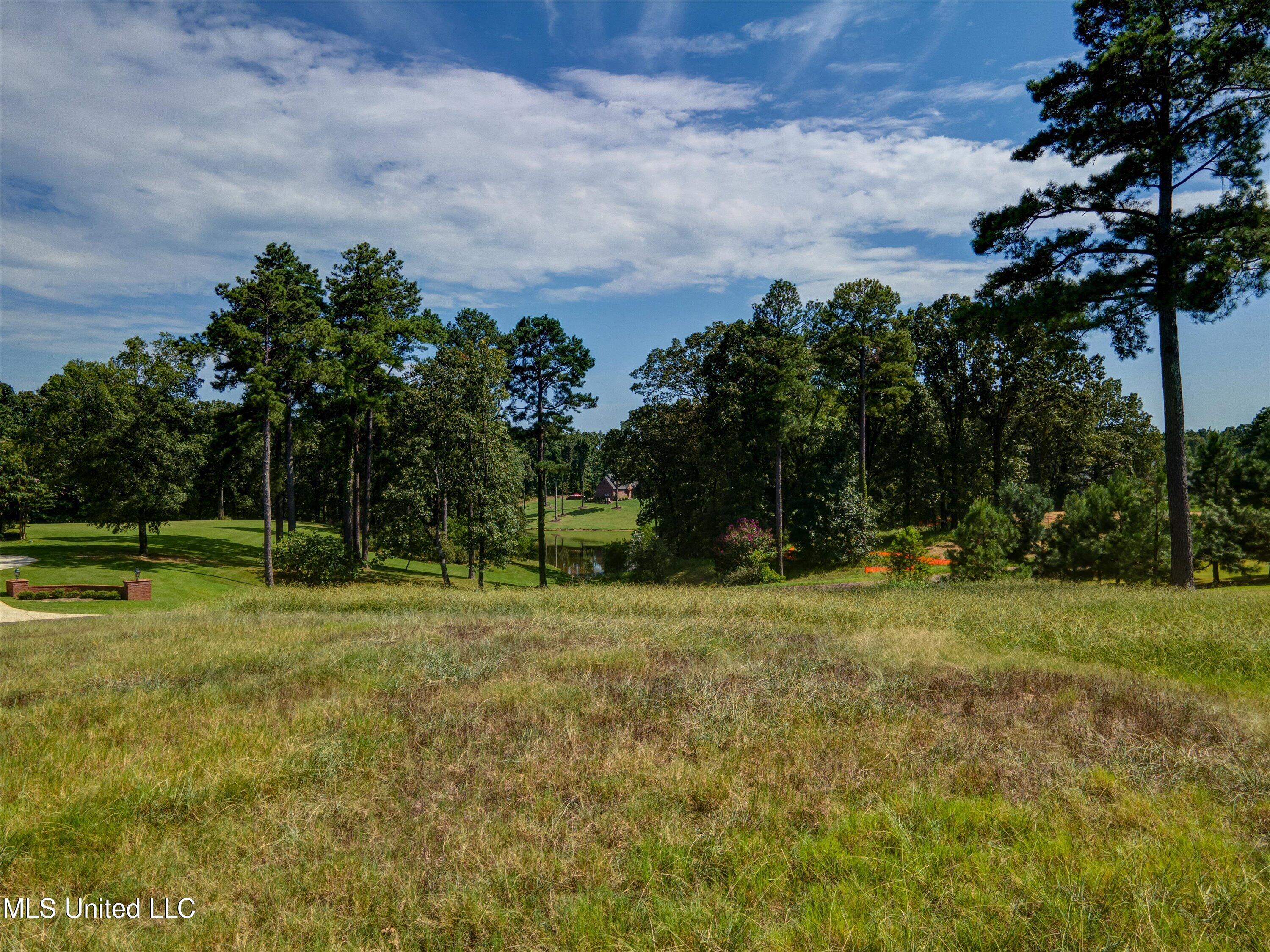 5721 Ginners Lane, Hernando, Mississippi image 12