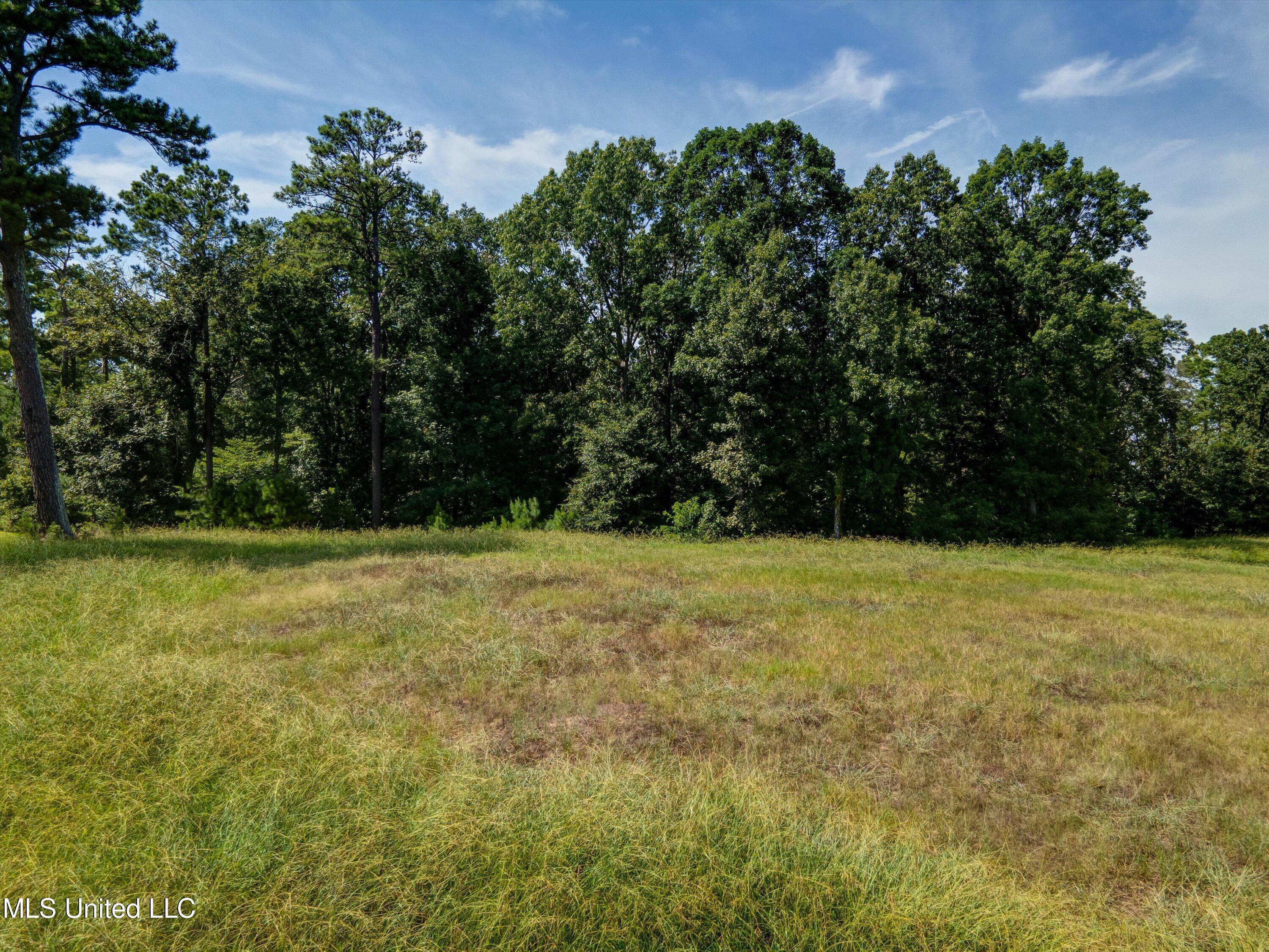 5721 Ginners Lane, Hernando, Mississippi image 11