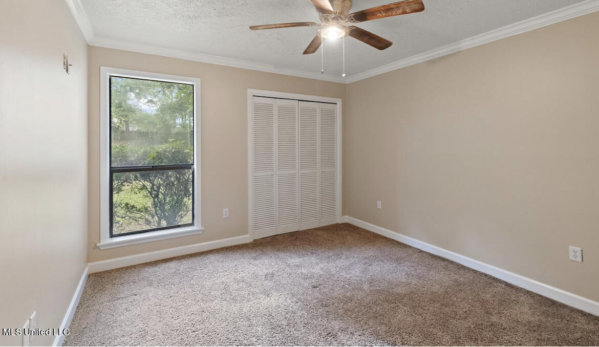 4800 Brookwood Place, Byram, Mississippi image 17