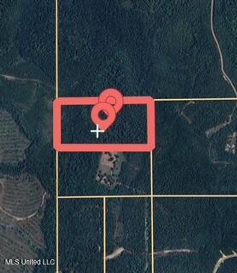 Vacant Land For Sale - 0000 Landlocked George<br/> Lucedale, MS 39452