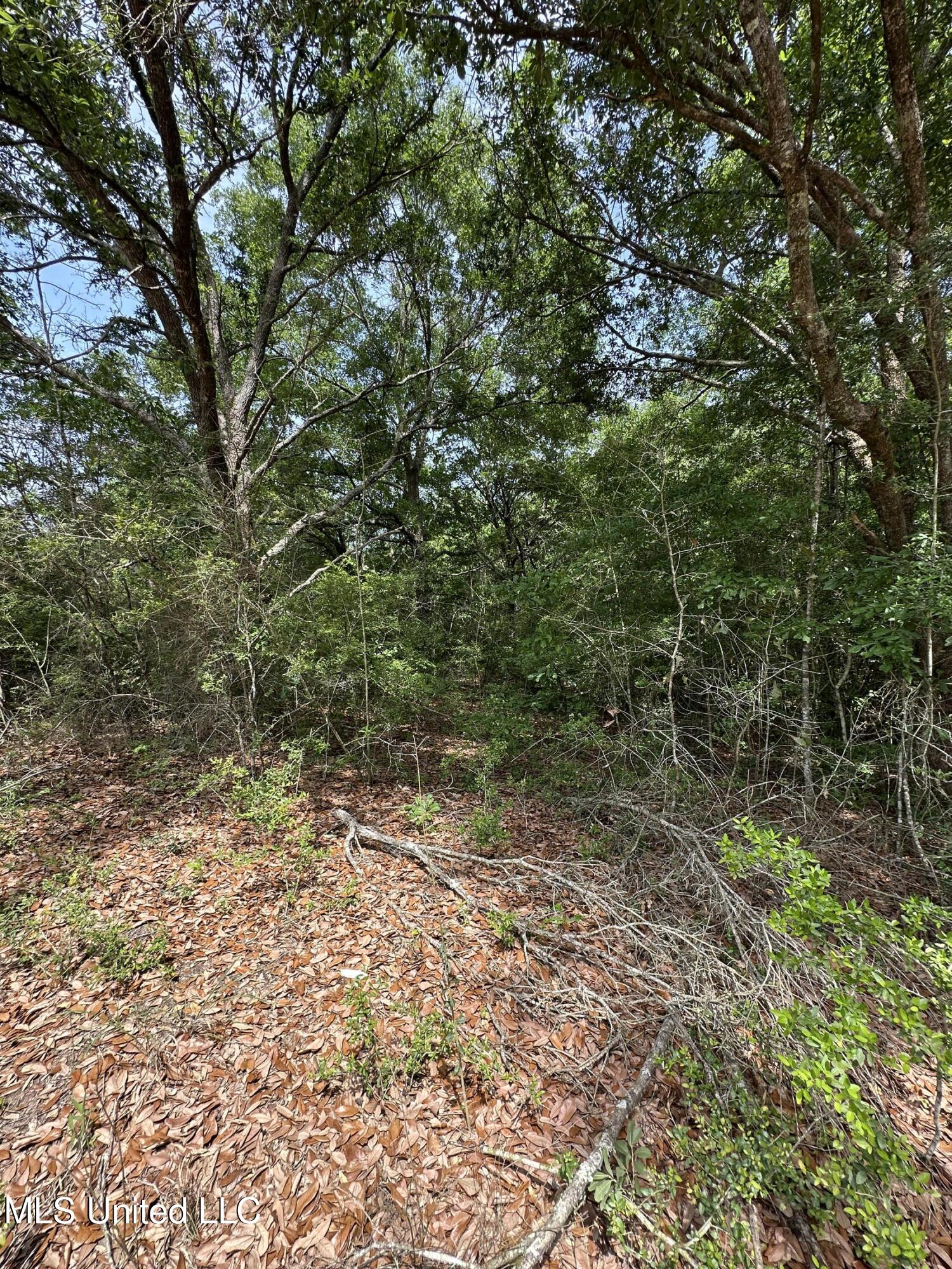 00 Springfield Drive, Lumberton, Mississippi image 4