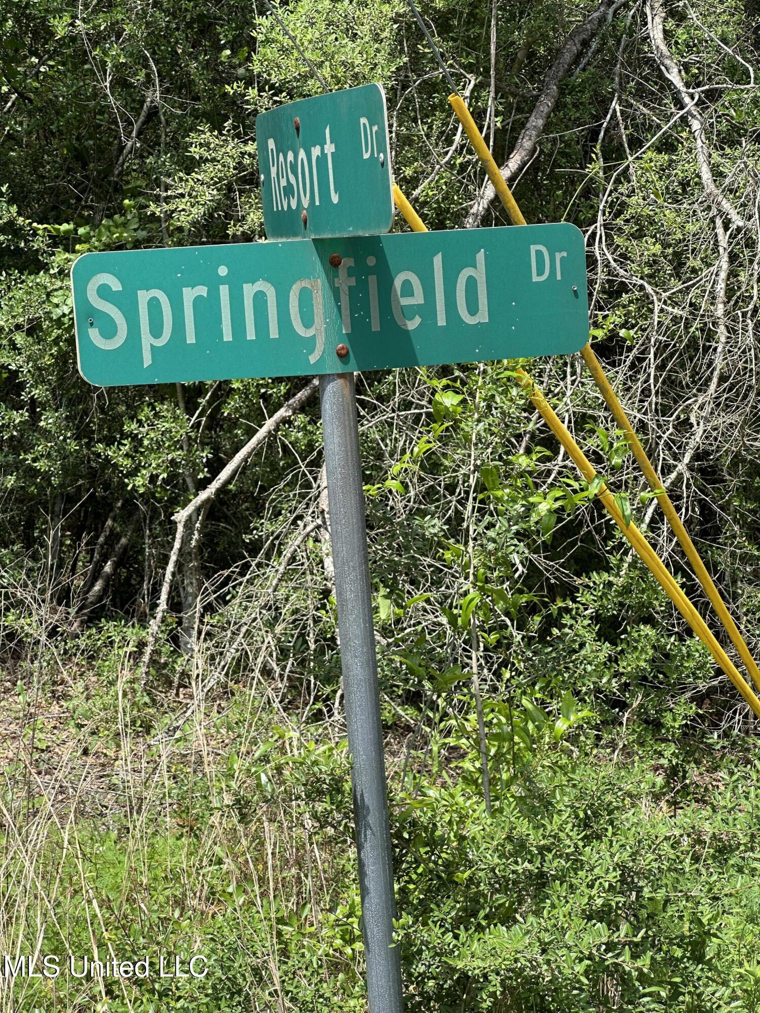 00 Springfield Drive, Lumberton, Mississippi image 6