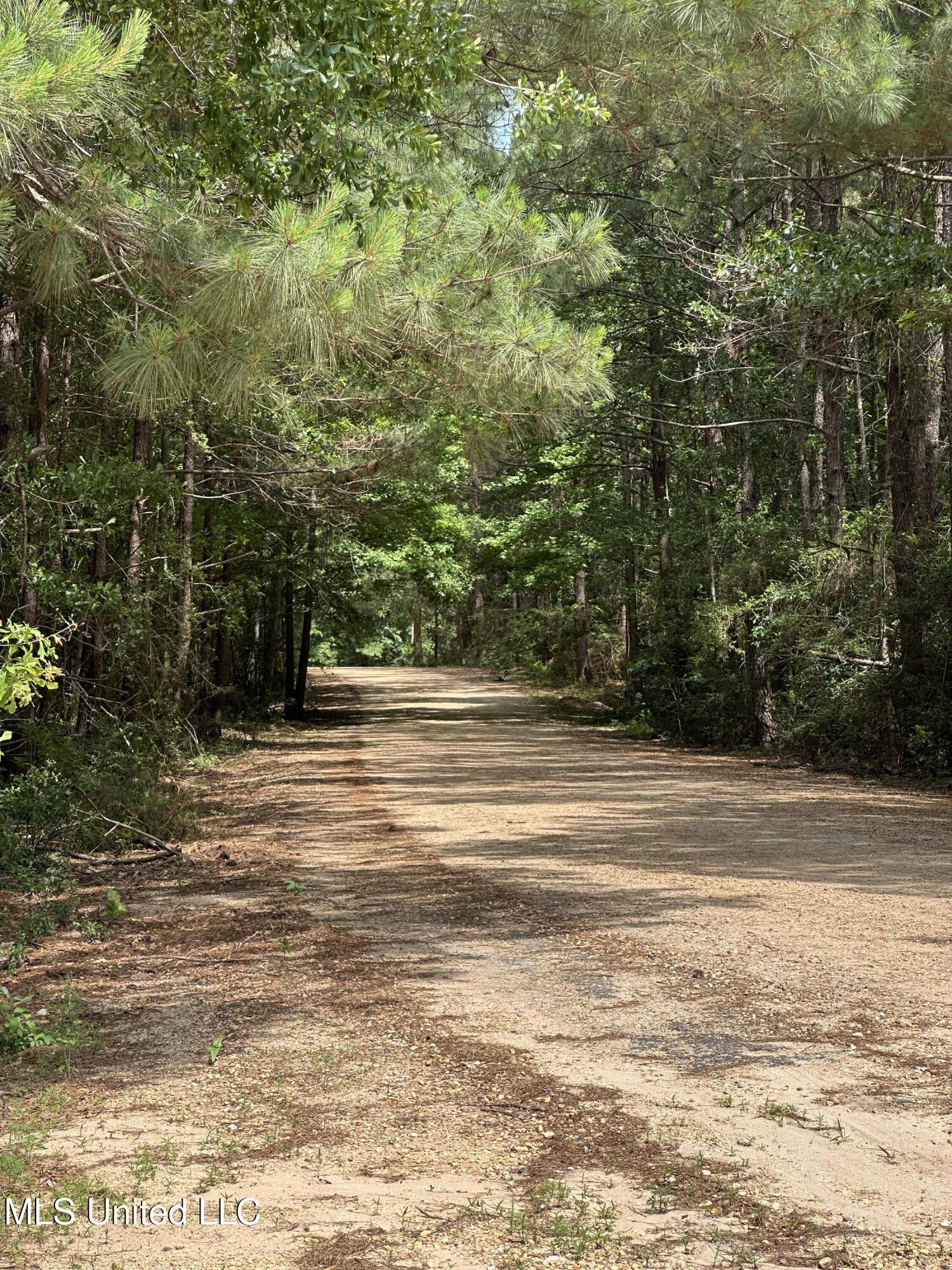 00 Springfield Drive, Lumberton, Mississippi image 7