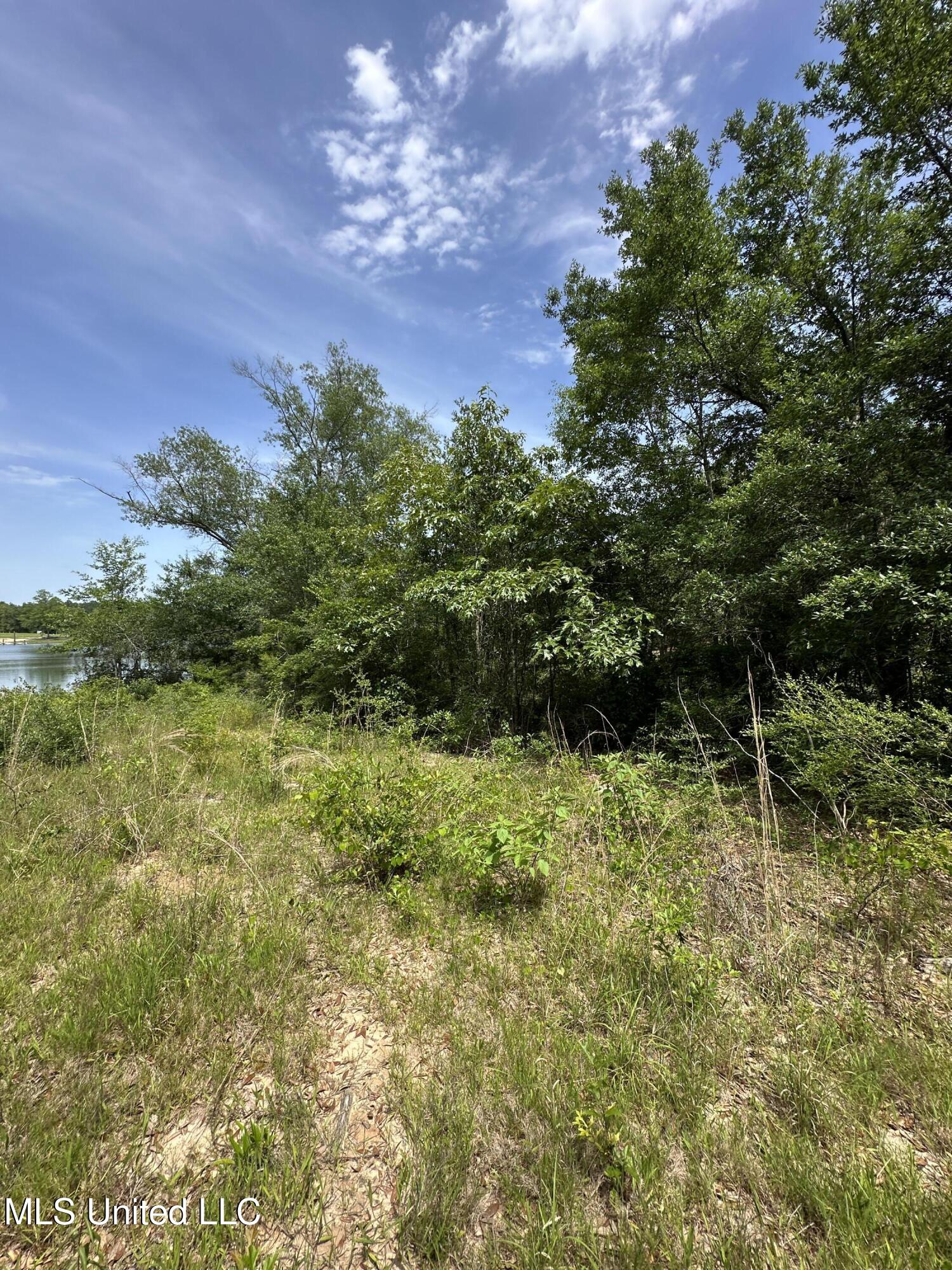 00 Springfield Drive, Lumberton, Mississippi image 3