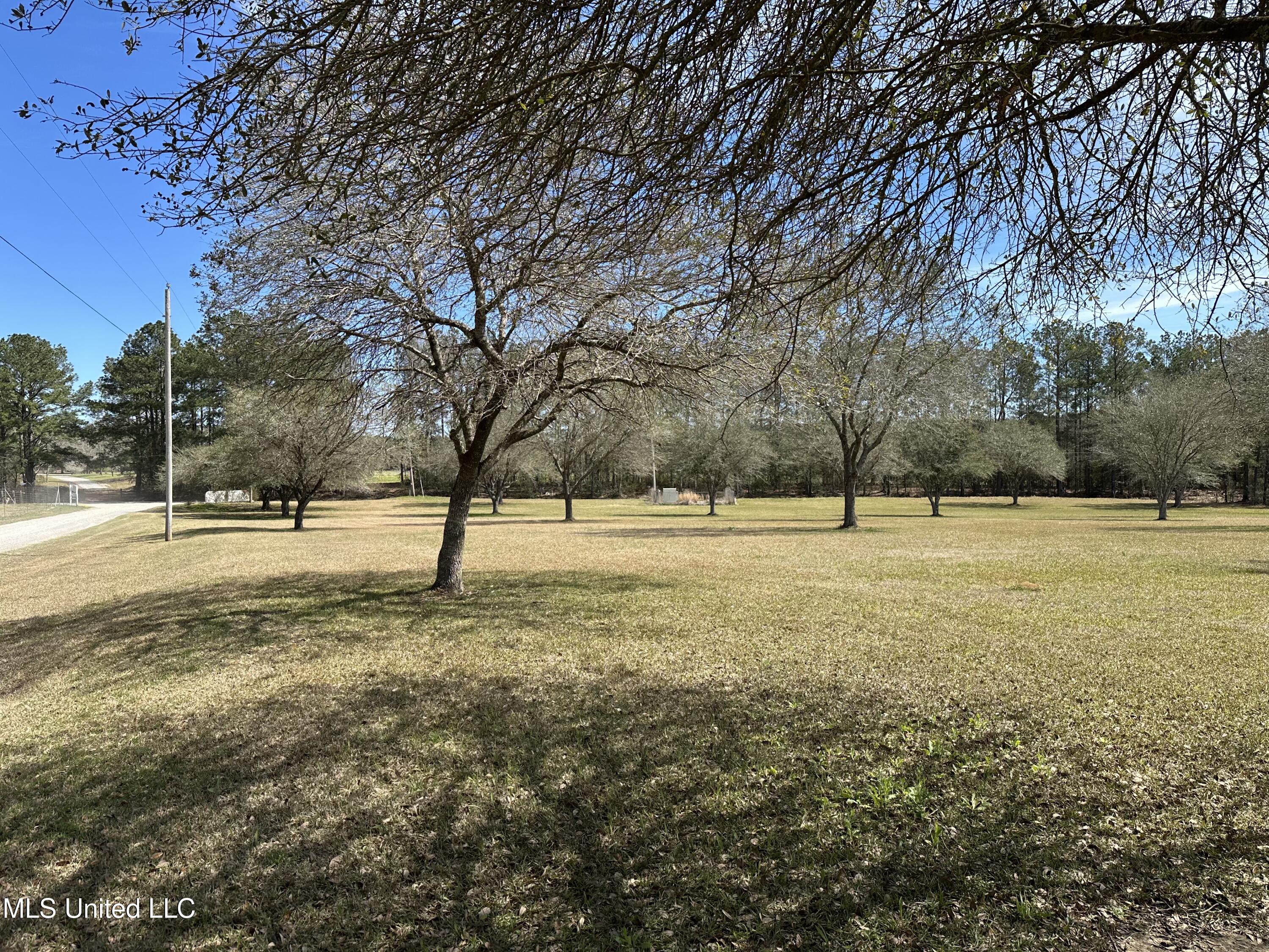 N New Arbor Lot 1b Road, Poplarville, Mississippi image 4