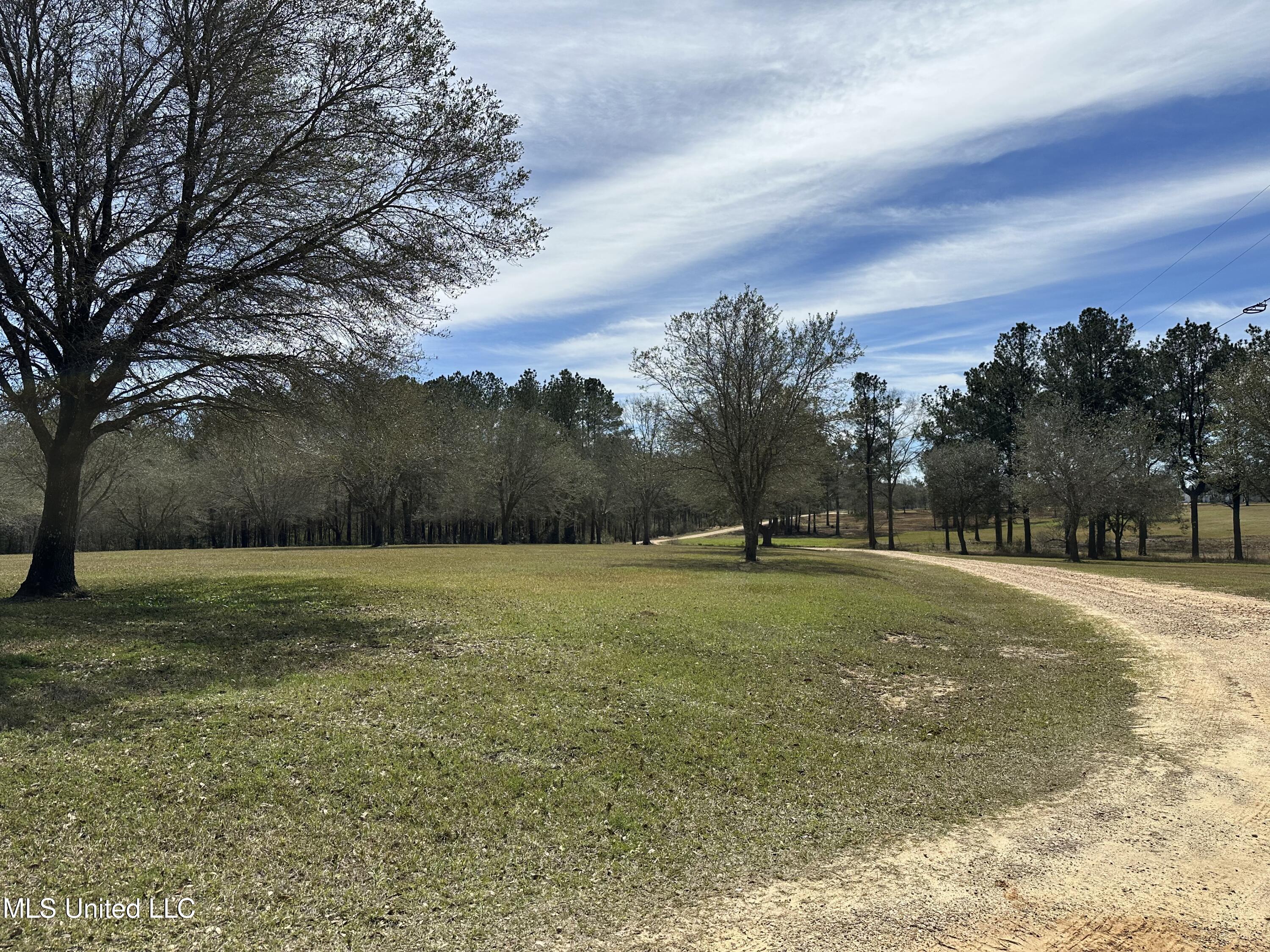 N New Arbor Lot 1b Road, Poplarville, Mississippi image 7