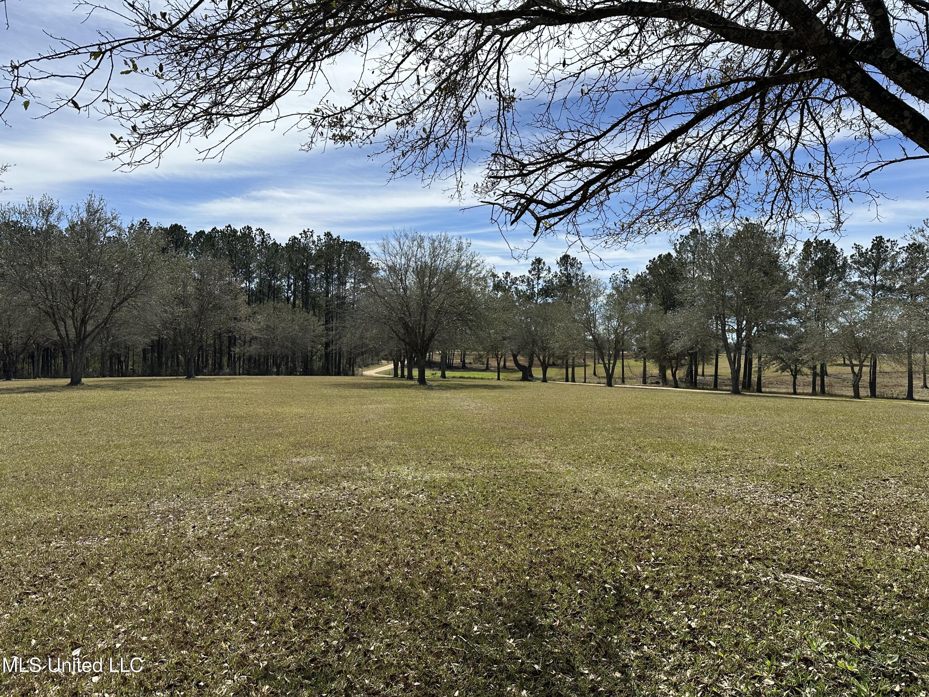 N New Arbor Lot 1b Road, Poplarville, Mississippi image 3