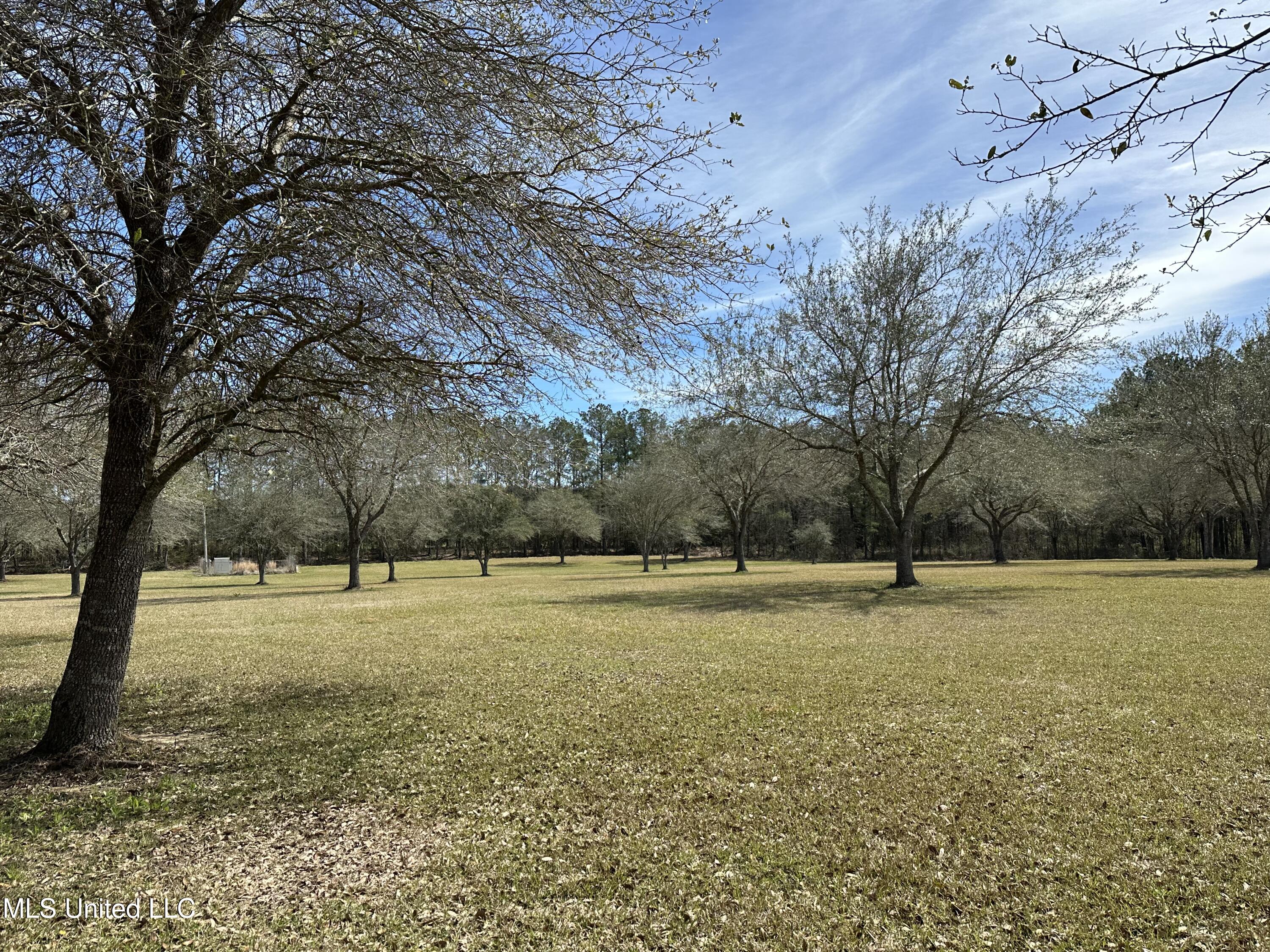 N New Arbor Lot 1b Road, Poplarville, Mississippi image 2