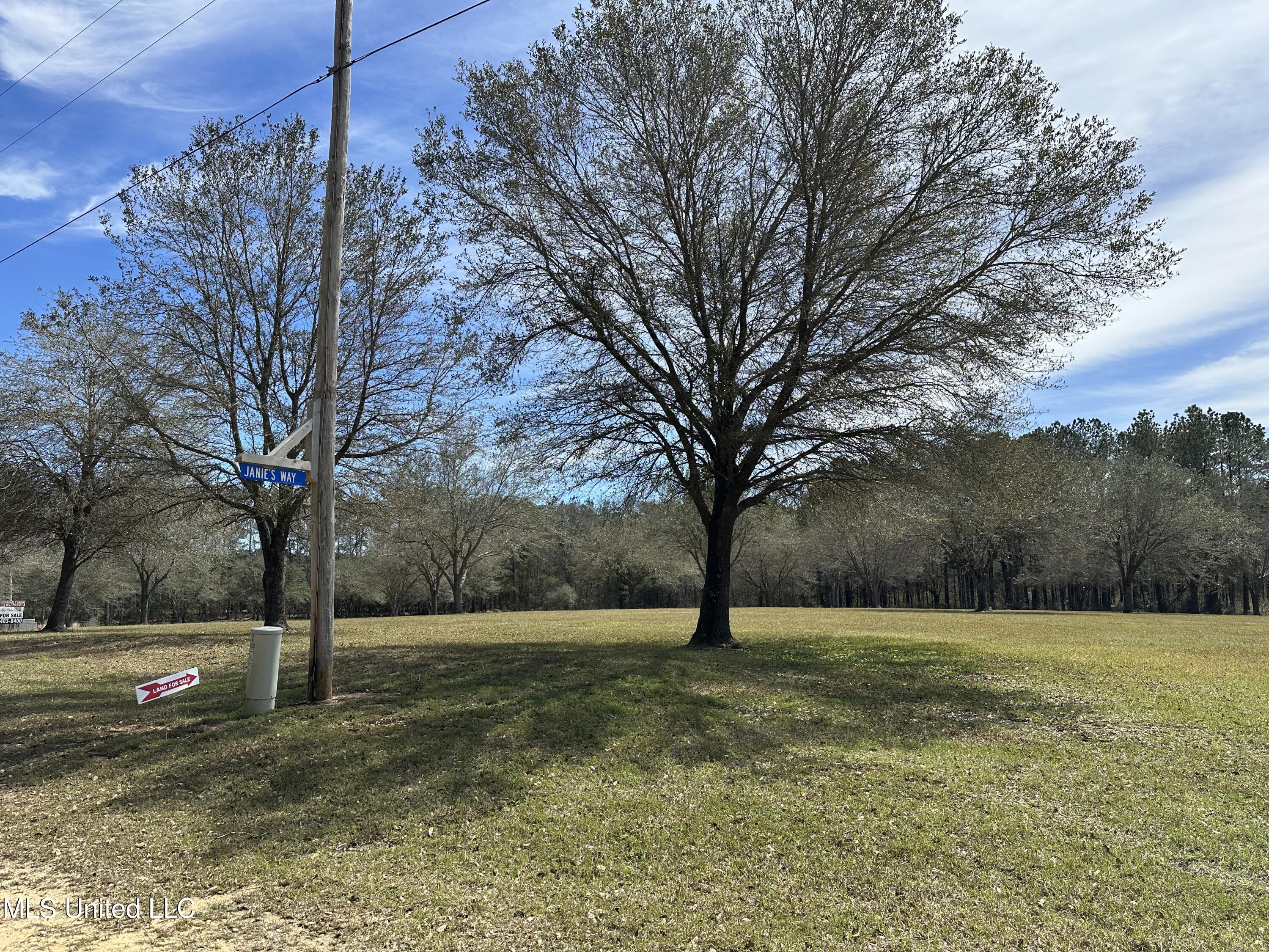 N New Arbor Lot 1b Road, Poplarville, Mississippi image 6