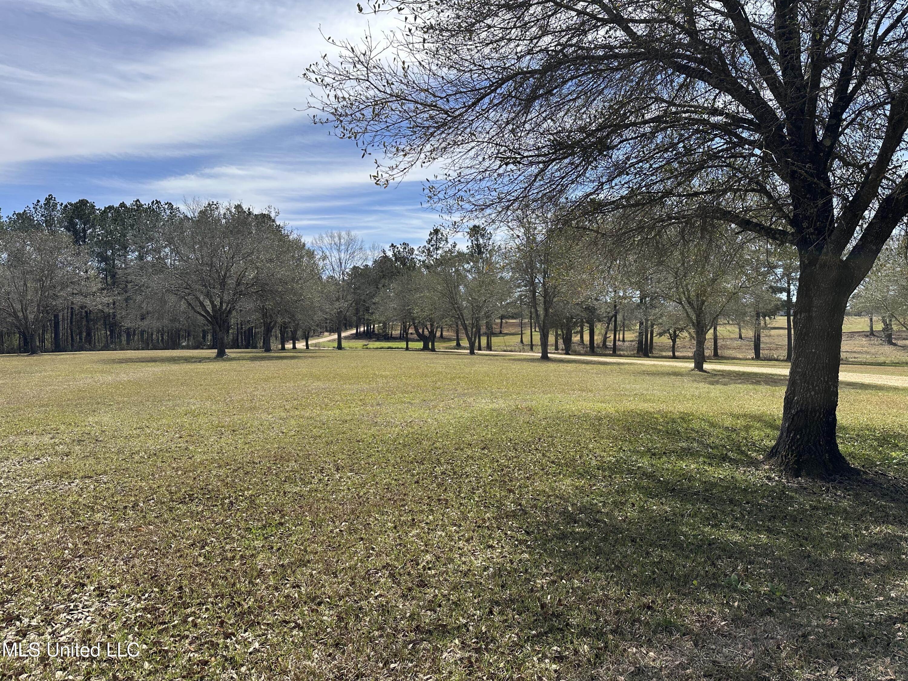 N New Arbor Lot 1b Road, Poplarville, Mississippi image 1