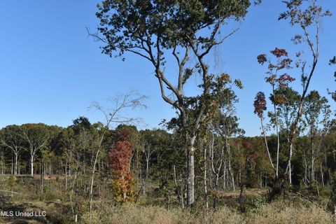 Vacant Land For Sale - 7 Marianna Road<br/> Holly Springs, MS 38635