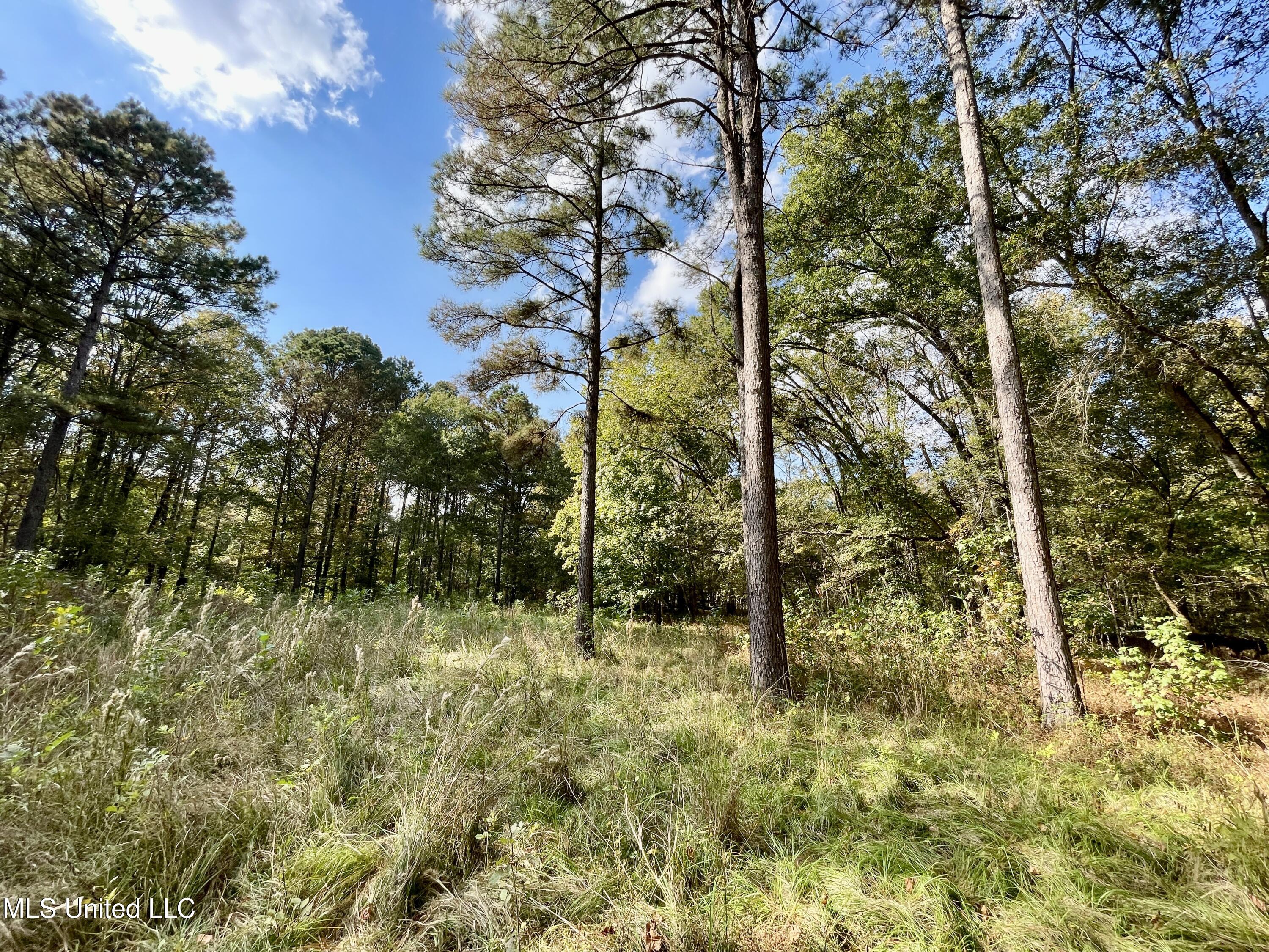 Noahs Mill Road, Madison, Mississippi image 10