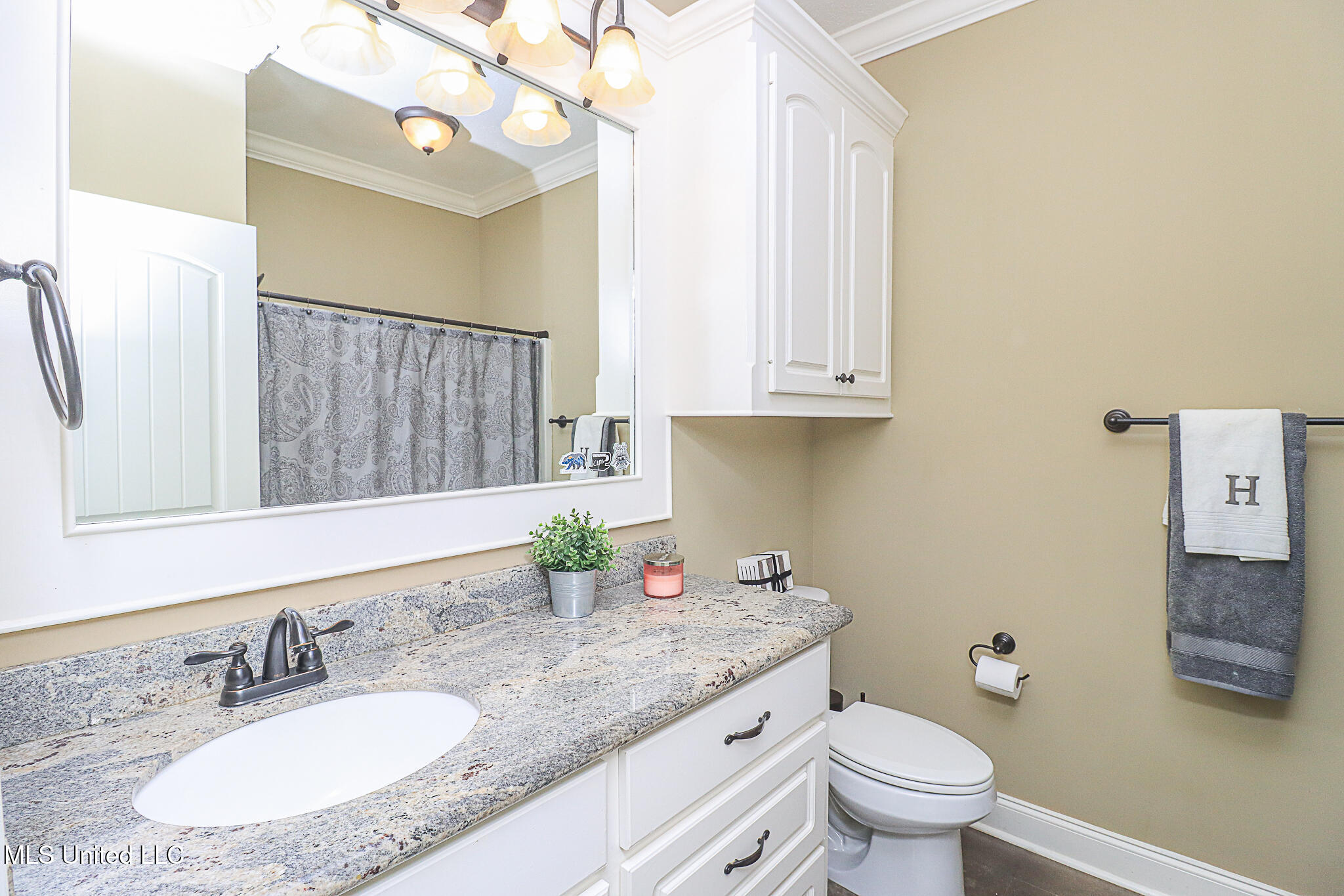 712 Adair Street, Brandon, Mississippi image 37