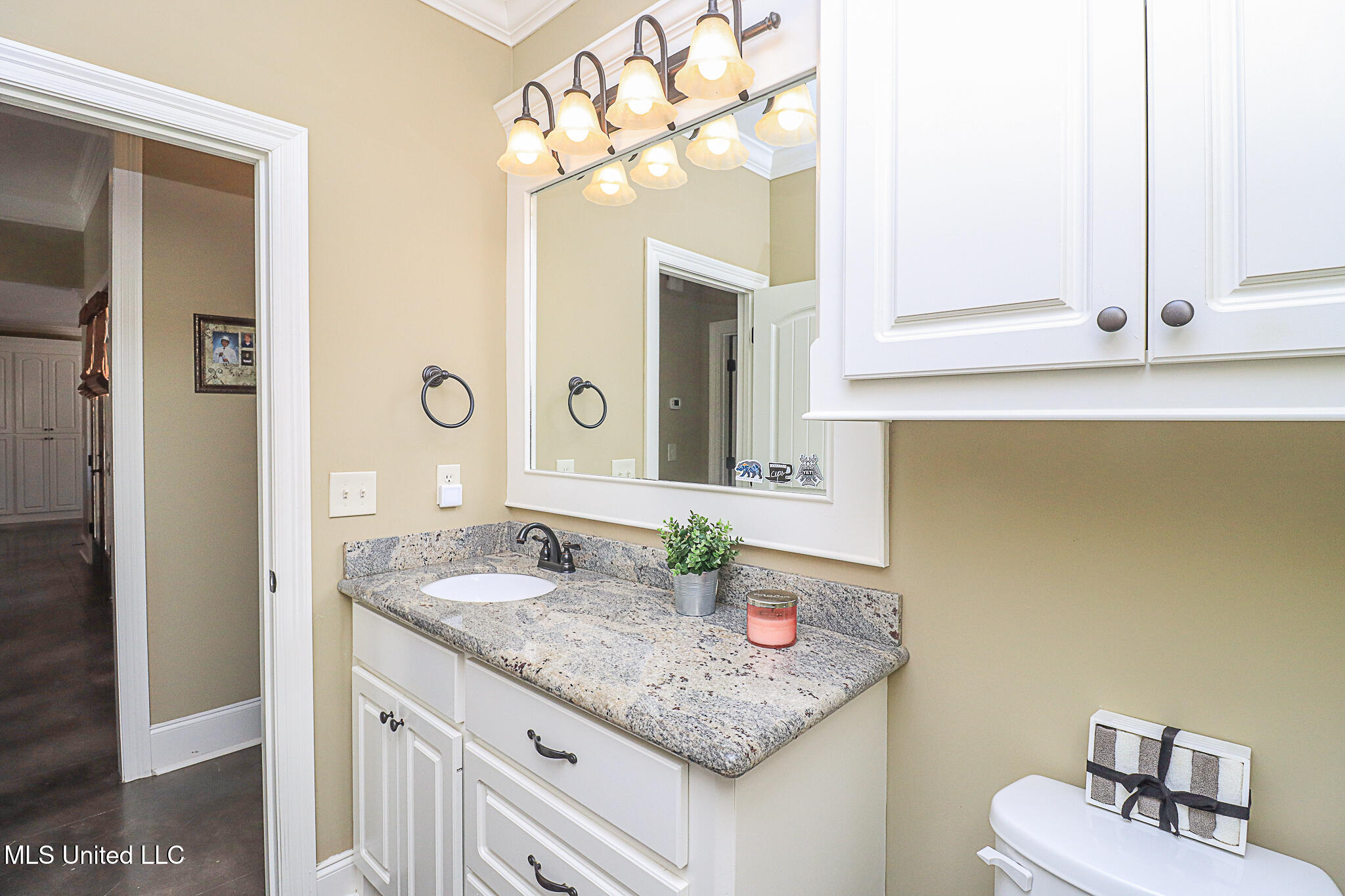 712 Adair Street, Brandon, Mississippi image 39